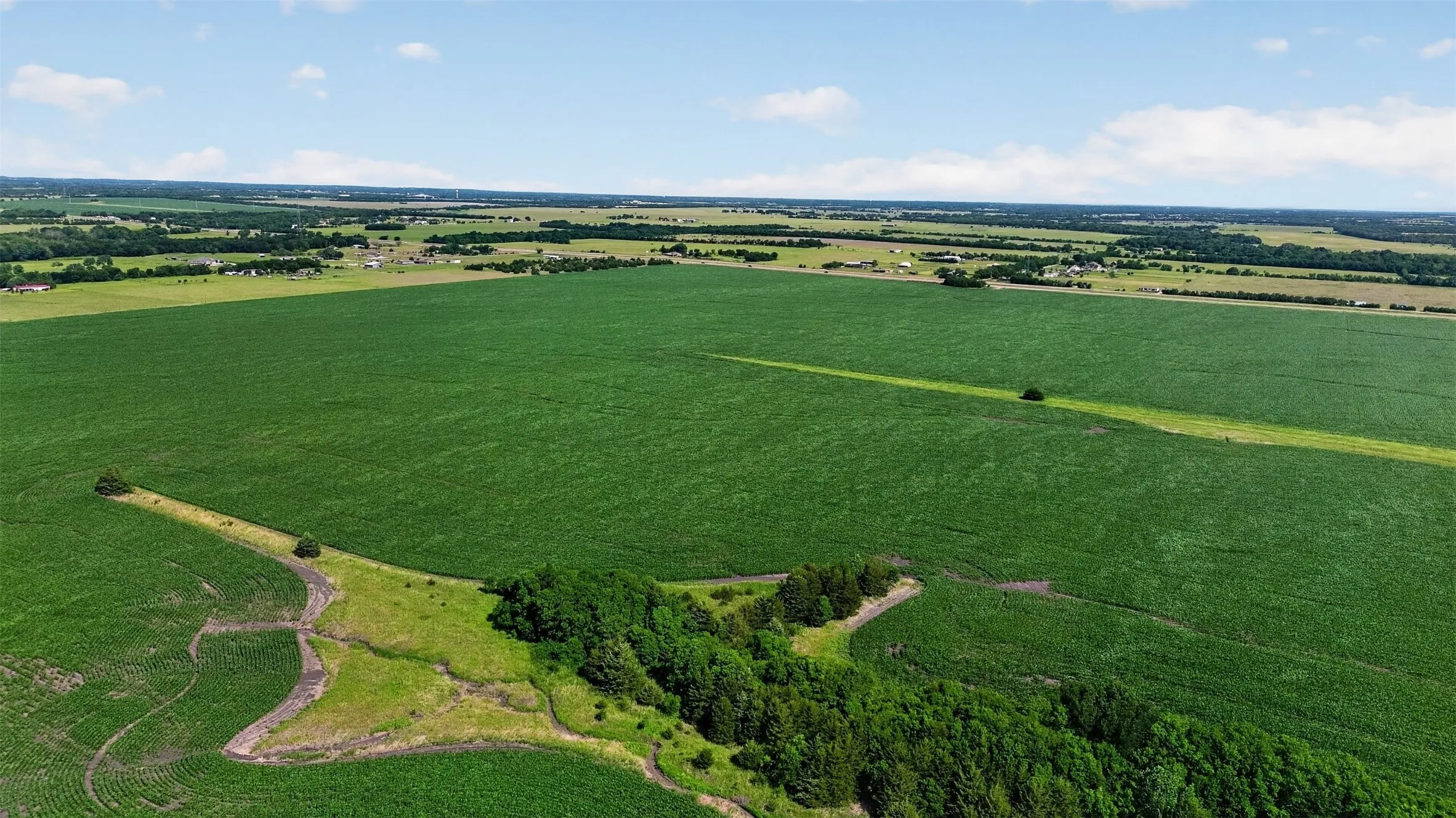 Expansive agricultural fields featuring vibrant green crops and scattered tree lines
