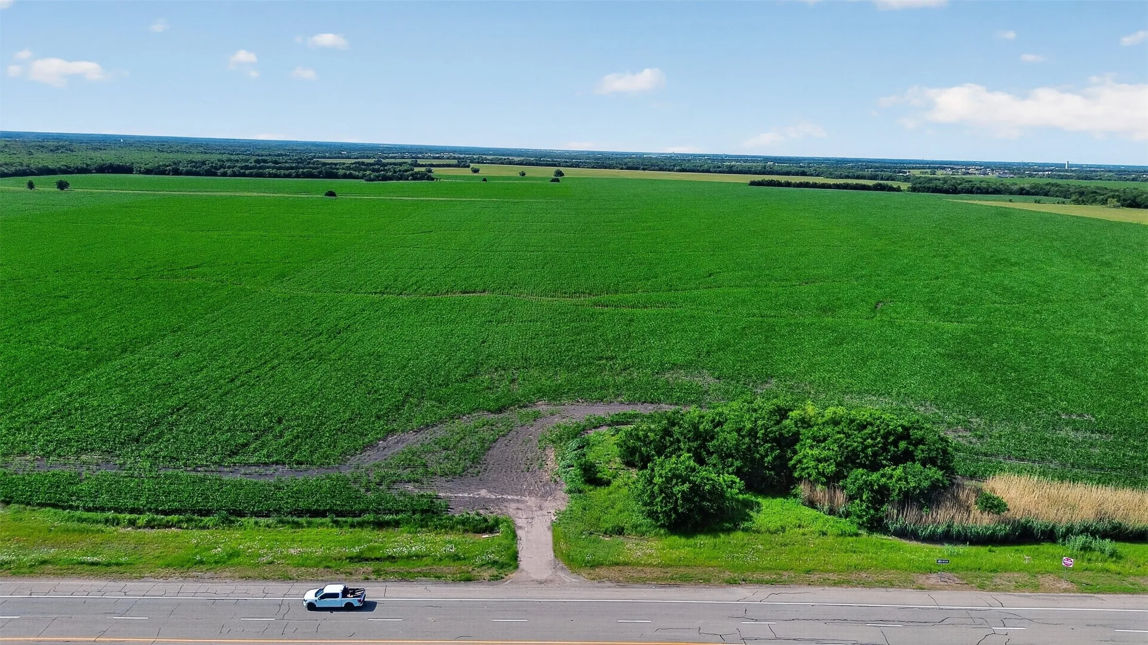 Expansive agricultural land featuring a verdant crop field and bordering a paved roadway