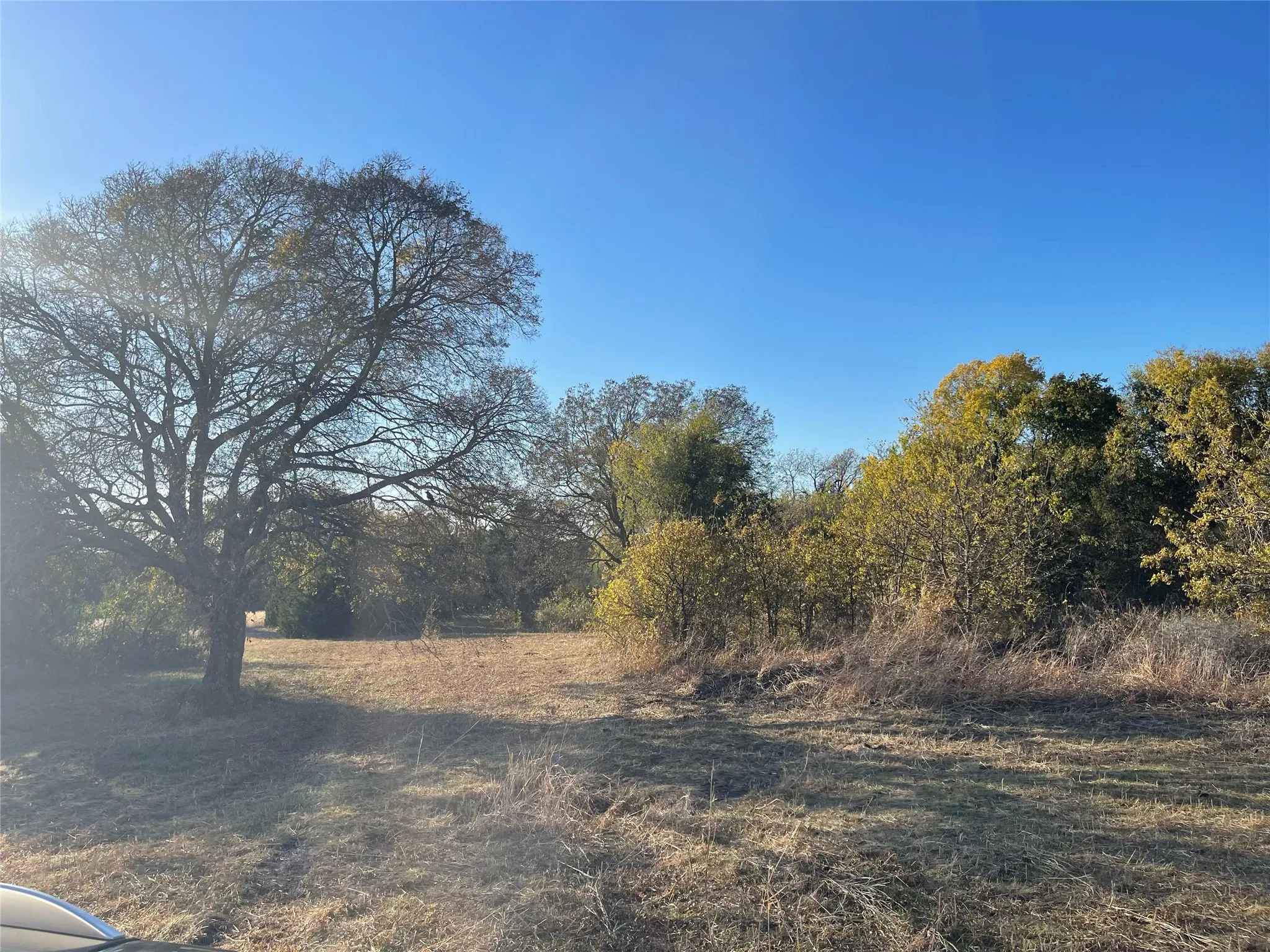 Unimproved Land For Sale in Dallas County , 6817 Chiesa Road, Rowlett, Texas 75089, 0, 0, Garage spaces, 0 Sqft, built in 0, Price $730,000, mls#21266188, Real Estate Agent in Rowlett, Homes For Sale in Dallas county, Homes For Sale in Rowlett, Realtor in Rowlett Texas, Real Estate Brokerage Independent Realty Texas, Luminita Cordes Realtor