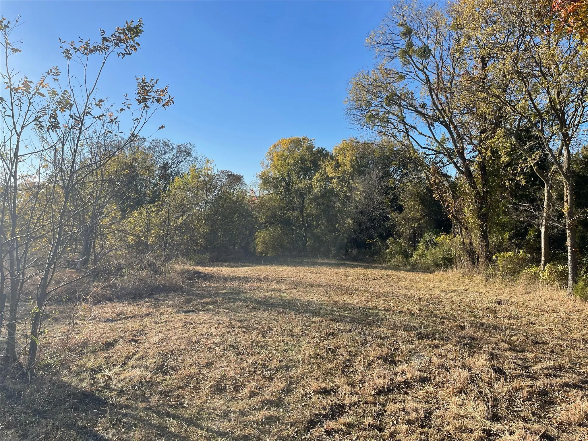 Unimproved Land For Sale in Dallas County , 6817 Chiesa Road, Rowlett, Texas 75089, 0, 0, Garage spaces, 0 Sqft, built in 0, Price $730,000, mls#21266188, Real Estate Agent in Rowlett, Homes For Sale in Dallas county, Homes For Sale in Rowlett, Realtor in Rowlett Texas, Real Estate Brokerage Independent Realty Texas, Luminita Cordes Realtor