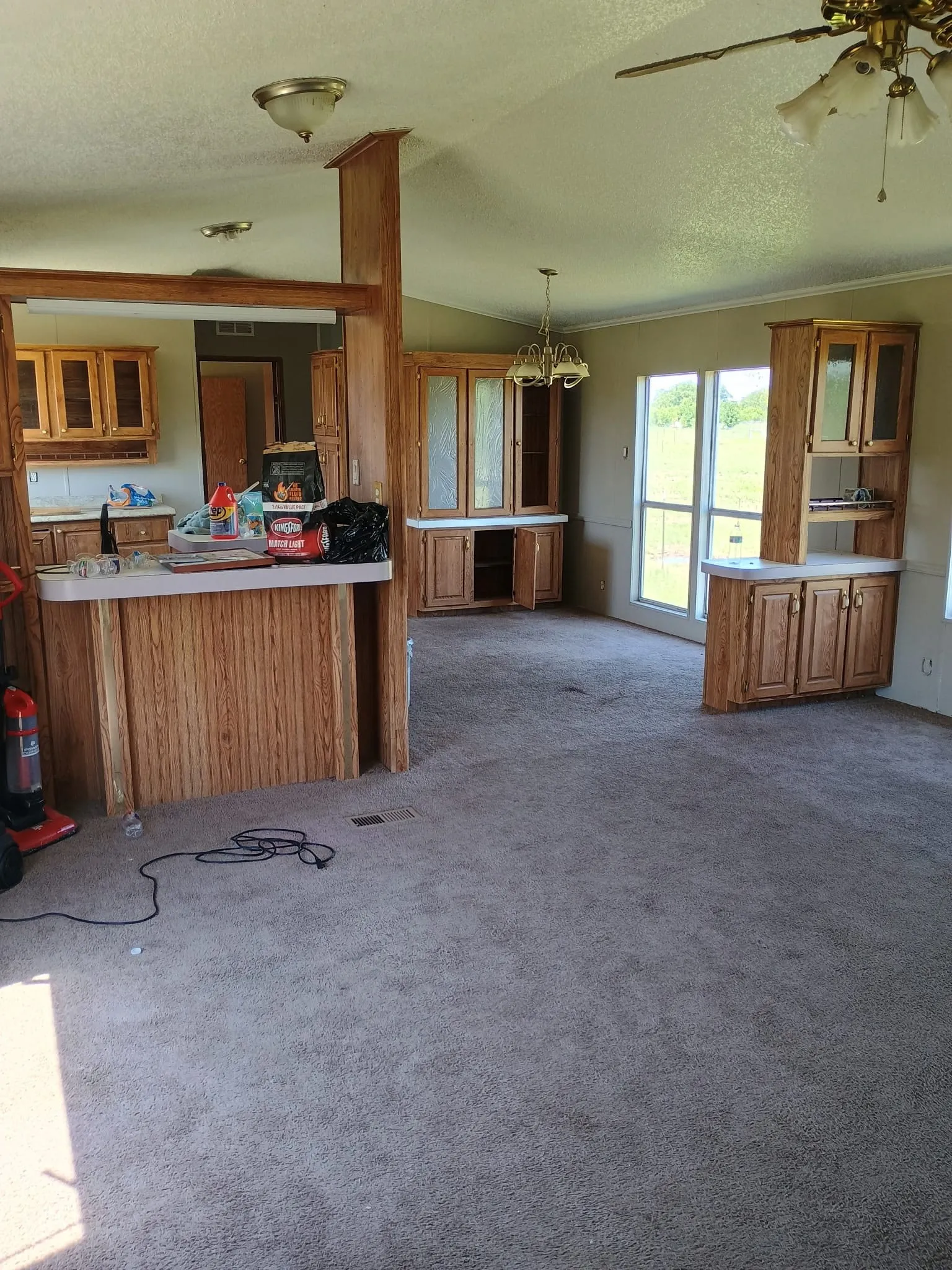 Open-concept living area with integrated kitchen and dining spaces