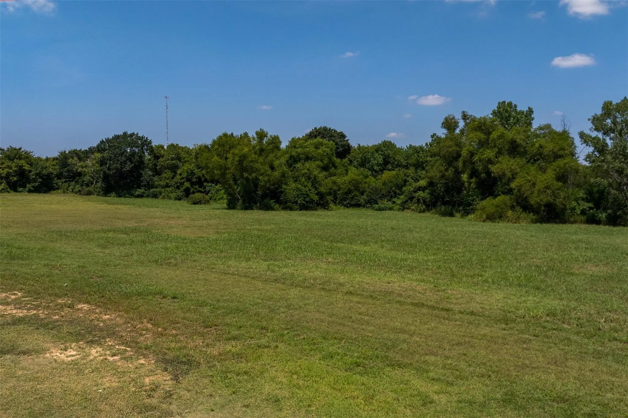 Expansive grassy field with a backdrop of mature trees