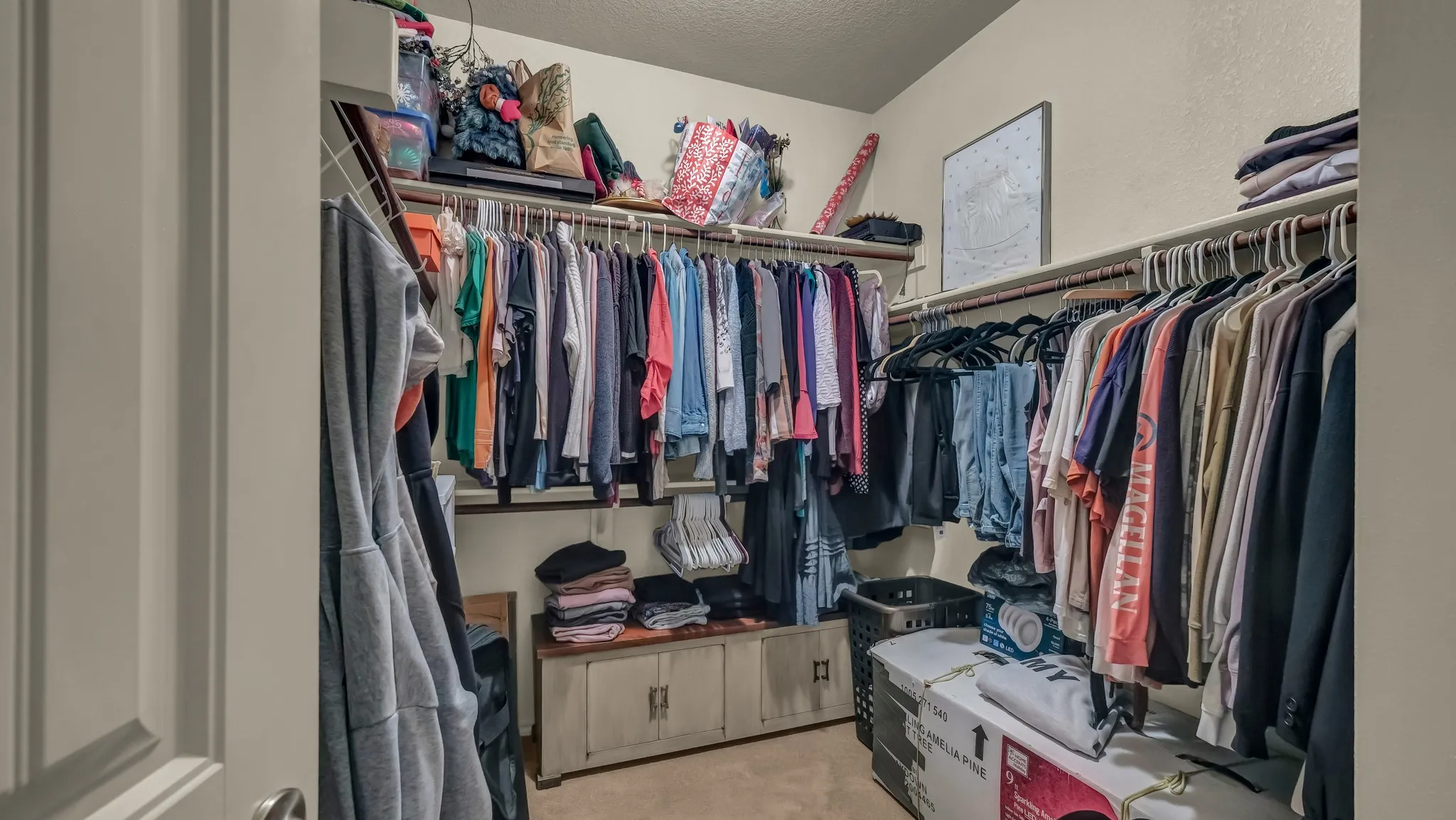 Walk-in closet featuring carpet flooring, built-in shelving, hanging rods, and a neutral wall color