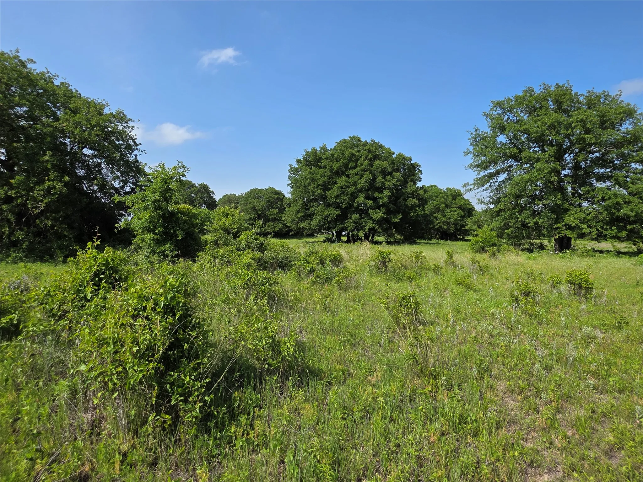 Ranch For Sale in Comanche County , 375 Ea Road, Comanche, Texas 76442, 0, 0, Garage spaces, 0 Sqft, built in 0, mls#21266355, Real Estate Agent in Comanche, Homes For Sale in Comanche county, Homes For Sale in Comanche, Realtor in Comanche Texas, Real Estate Brokerage Independent Realty Texas, Luminita Cordes Realtor