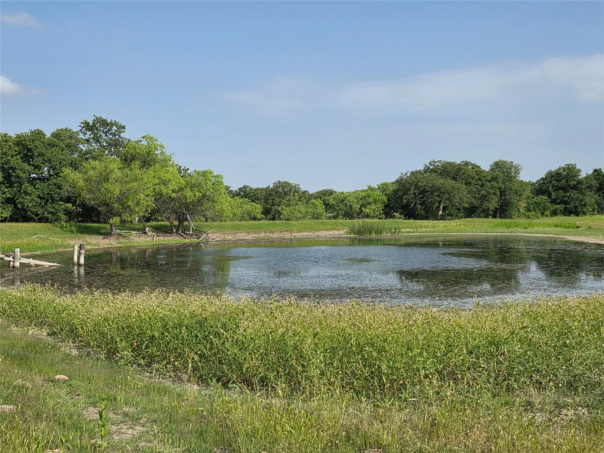 Ranch For Sale in Comanche County , 375 Ea Road, Comanche, Texas 76442, 0, 0, Garage spaces, 0 Sqft, built in 0, mls#21266355, Real Estate Agent in Comanche, Homes For Sale in Comanche county, Homes For Sale in Comanche, Realtor in Comanche Texas, Real Estate Brokerage Independent Realty Texas, Luminita Cordes Realtor