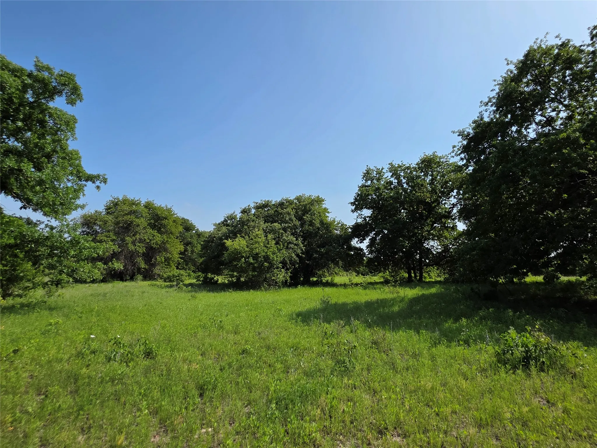 Ranch For Sale in Comanche County , 375 Ea Road, Comanche, Texas 76442, 0, 0, Garage spaces, 0 Sqft, built in 0, mls#21266355, Real Estate Agent in Comanche, Homes For Sale in Comanche county, Homes For Sale in Comanche, Realtor in Comanche Texas, Real Estate Brokerage Independent Realty Texas, Luminita Cordes Realtor