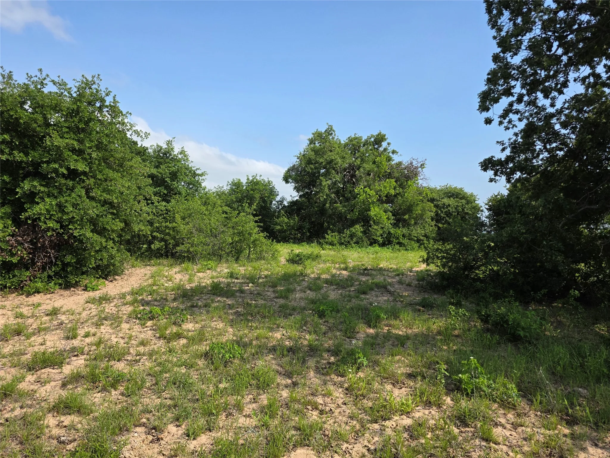 Ranch For Sale in Comanche County , 375 Ea Road, Comanche, Texas 76442, 0, 0, Garage spaces, 0 Sqft, built in 0, mls#21266355, Real Estate Agent in Comanche, Homes For Sale in Comanche county, Homes For Sale in Comanche, Realtor in Comanche Texas, Real Estate Brokerage Independent Realty Texas, Luminita Cordes Realtor