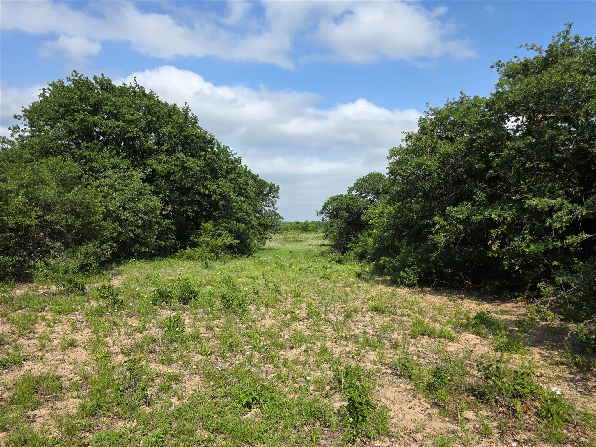 Ranch For Sale in Comanche County , 375 Ea Road, Comanche, Texas 76442, 0, 0, Garage spaces, 0 Sqft, built in 0, mls#21266355, Real Estate Agent in Comanche, Homes For Sale in Comanche county, Homes For Sale in Comanche, Realtor in Comanche Texas, Real Estate Brokerage Independent Realty Texas, Luminita Cordes Realtor