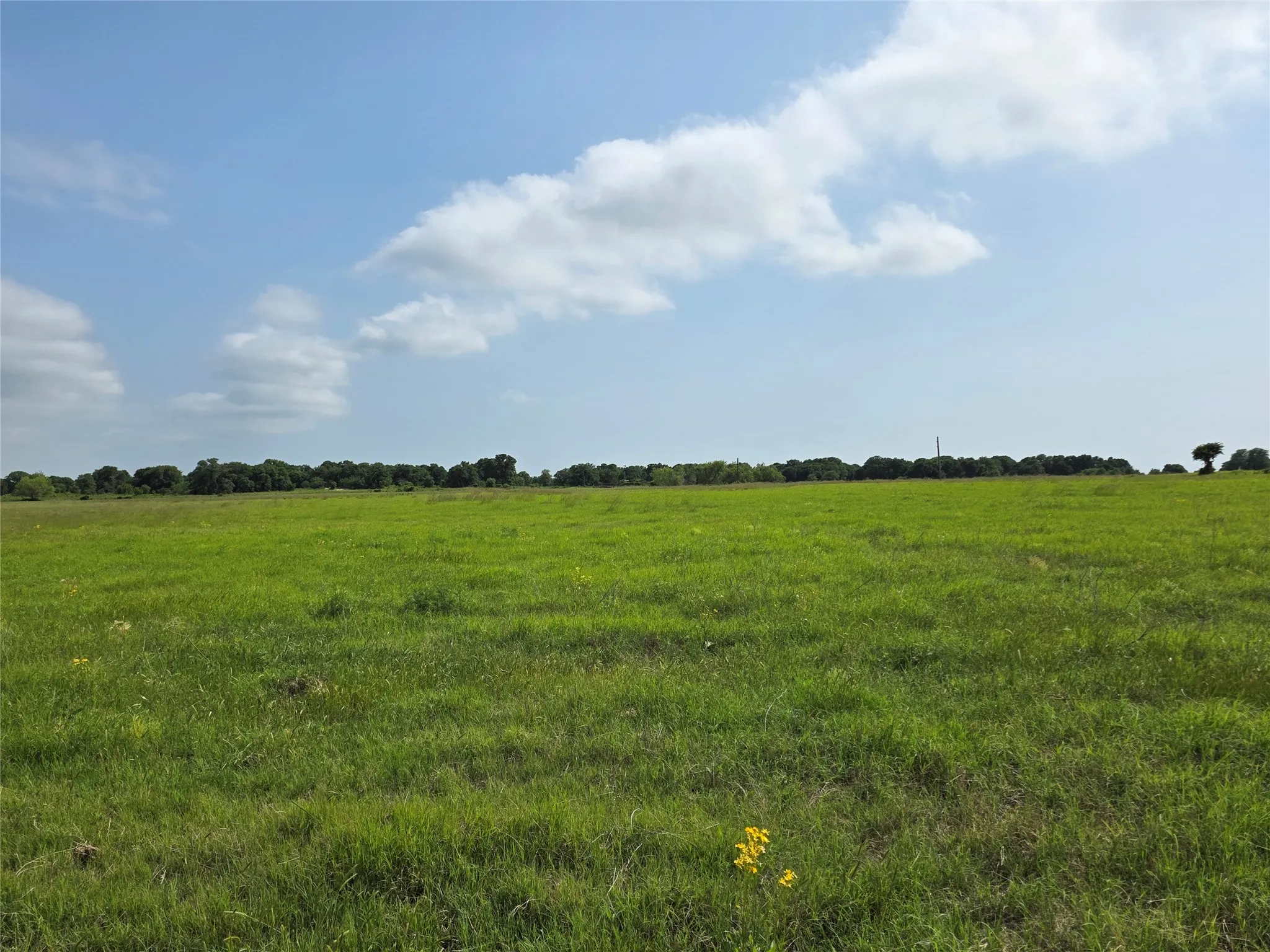 Ranch For Sale in Comanche County , 375 Ea Road, Comanche, Texas 76442, 0, 0, Garage spaces, 0 Sqft, built in 0, mls#21266355, Real Estate Agent in Comanche, Homes For Sale in Comanche county, Homes For Sale in Comanche, Realtor in Comanche Texas, Real Estate Brokerage Independent Realty Texas, Luminita Cordes Realtor