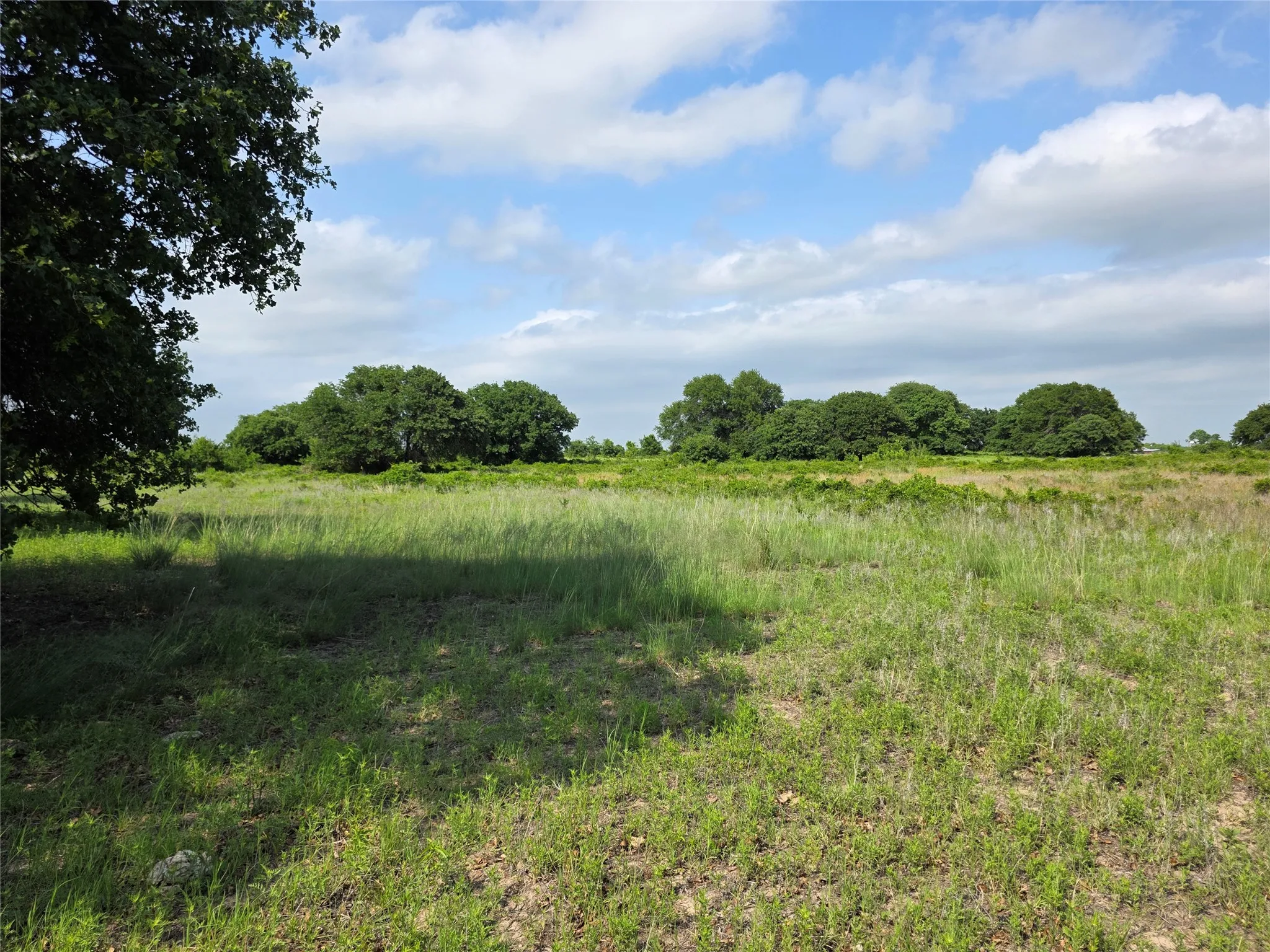 Ranch For Sale in Comanche County , 375 Ea Road, Comanche, Texas 76442, 0, 0, Garage spaces, 0 Sqft, built in 0, mls#21266355, Real Estate Agent in Comanche, Homes For Sale in Comanche county, Homes For Sale in Comanche, Realtor in Comanche Texas, Real Estate Brokerage Independent Realty Texas, Luminita Cordes Realtor