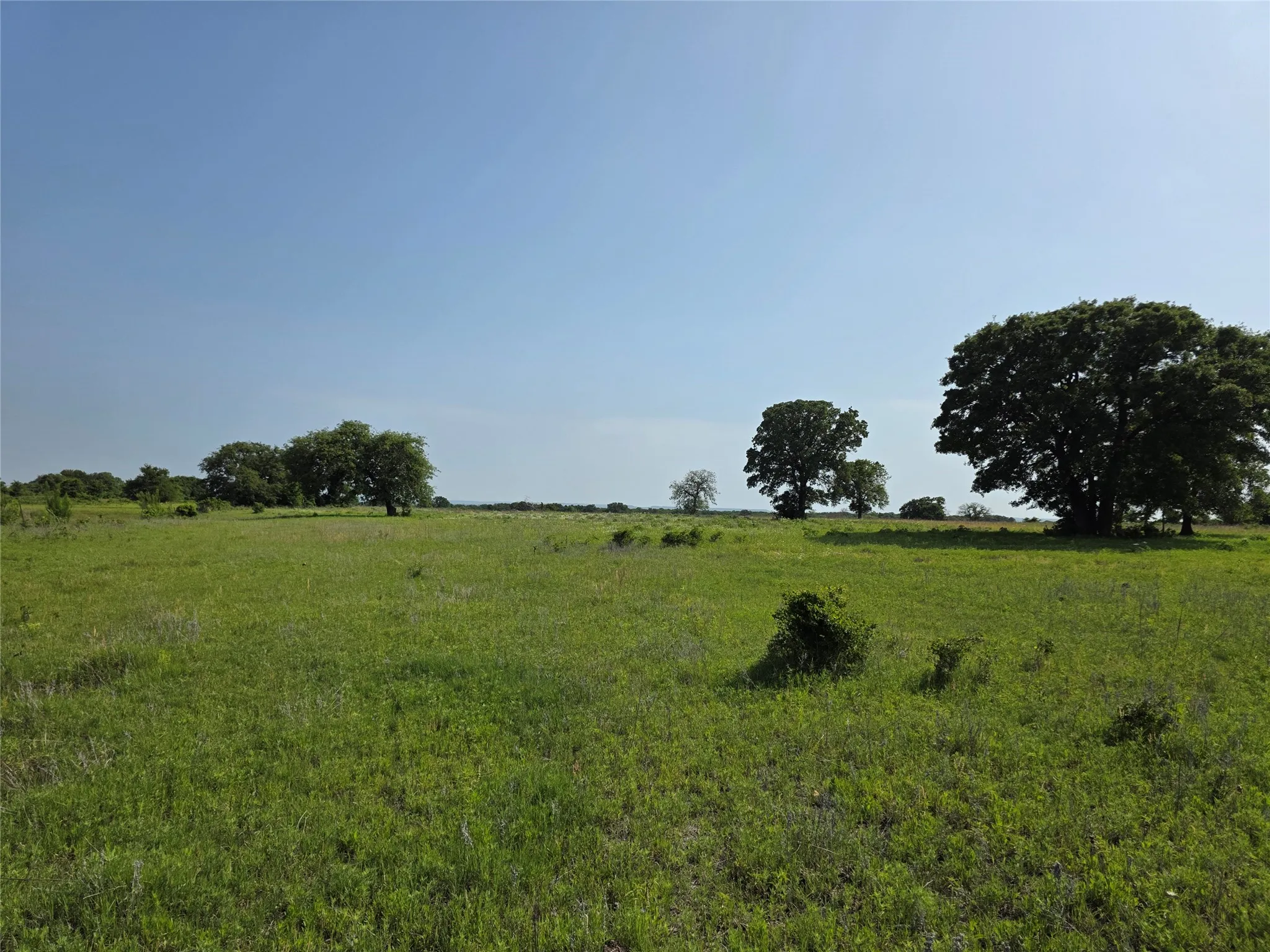Ranch For Sale in Comanche County , 375 Ea Road, Comanche, Texas 76442, 0, 0, Garage spaces, 0 Sqft, built in 0, mls#21266355, Real Estate Agent in Comanche, Homes For Sale in Comanche county, Homes For Sale in Comanche, Realtor in Comanche Texas, Real Estate Brokerage Independent Realty Texas, Luminita Cordes Realtor