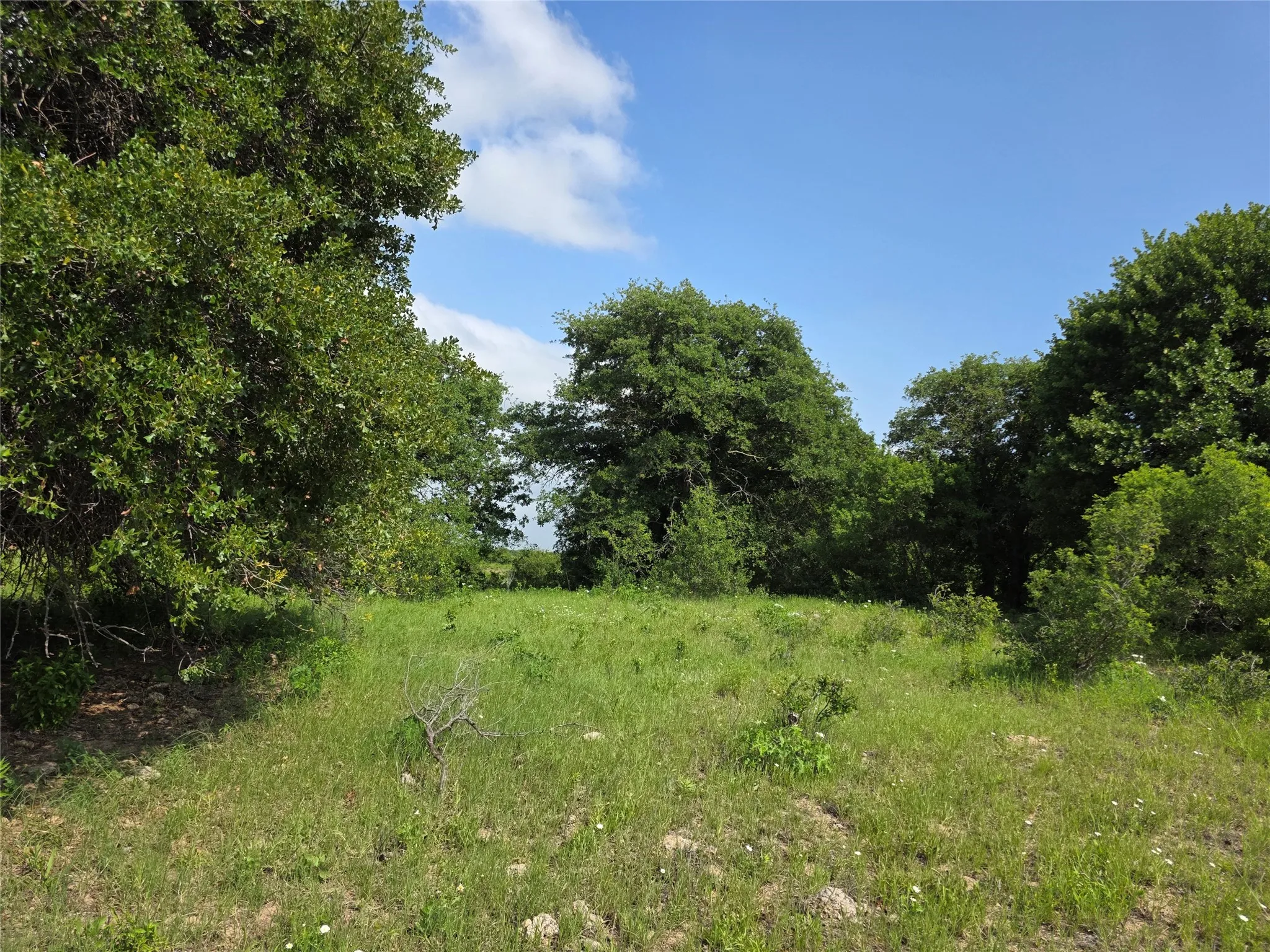 Ranch For Sale in Comanche County , 375 Ea Road, Comanche, Texas 76442, 0, 0, Garage spaces, 0 Sqft, built in 0, mls#21266355, Real Estate Agent in Comanche, Homes For Sale in Comanche county, Homes For Sale in Comanche, Realtor in Comanche Texas, Real Estate Brokerage Independent Realty Texas, Luminita Cordes Realtor