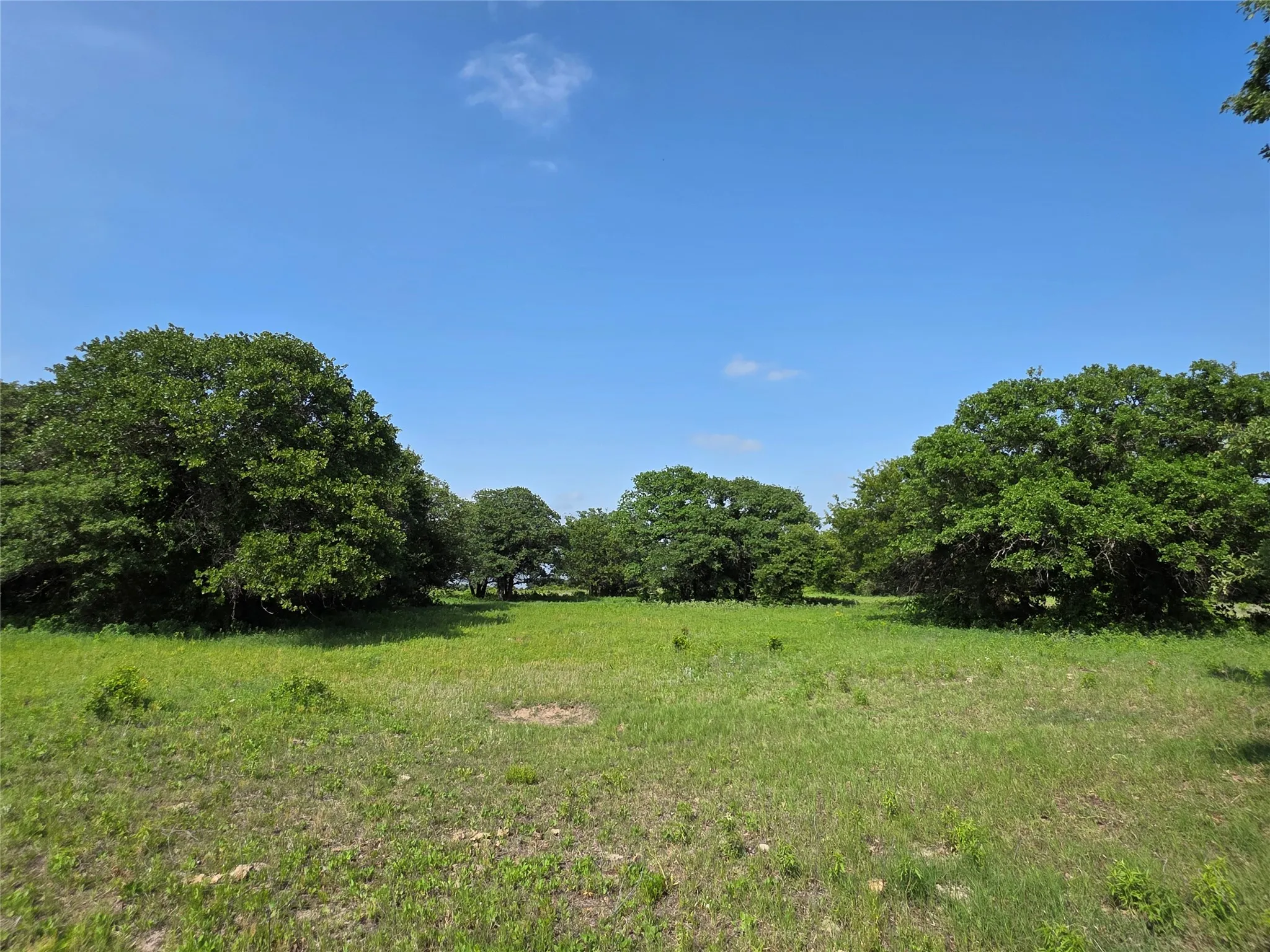 Ranch For Sale in Comanche County , 375 Ea Road, Comanche, Texas 76442, 0, 0, Garage spaces, 0 Sqft, built in 0, mls#21266355, Real Estate Agent in Comanche, Homes For Sale in Comanche county, Homes For Sale in Comanche, Realtor in Comanche Texas, Real Estate Brokerage Independent Realty Texas, Luminita Cordes Realtor