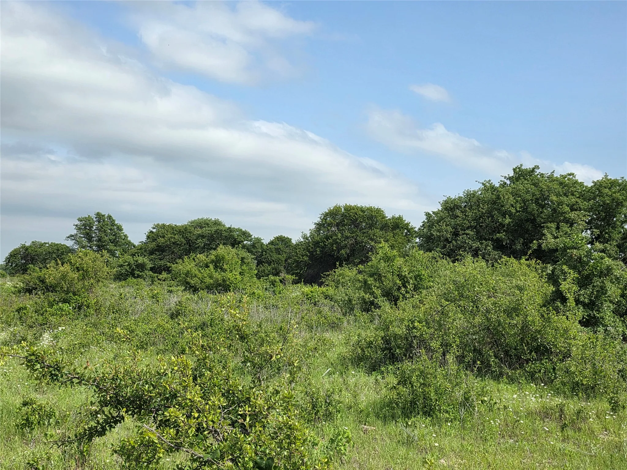 Ranch For Sale in Comanche County , 375 Ea Road, Comanche, Texas 76442, 0, 0, Garage spaces, 0 Sqft, built in 0, mls#21266355, Real Estate Agent in Comanche, Homes For Sale in Comanche county, Homes For Sale in Comanche, Realtor in Comanche Texas, Real Estate Brokerage Independent Realty Texas, Luminita Cordes Realtor