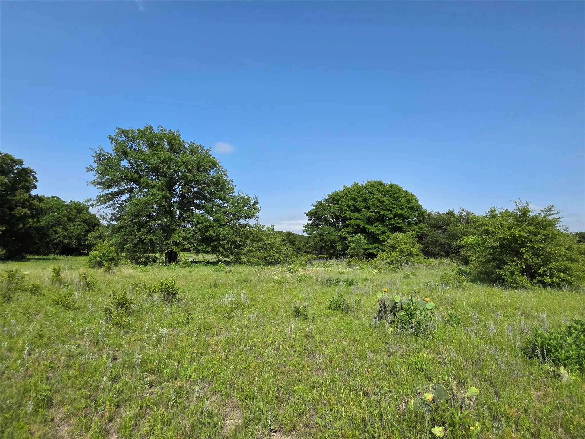 Ranch For Sale in Comanche County , 375 Ea Road, Comanche, Texas 76442, 0, 0, Garage spaces, 0 Sqft, built in 0, mls#21266355, Real Estate Agent in Comanche, Homes For Sale in Comanche county, Homes For Sale in Comanche, Realtor in Comanche Texas, Real Estate Brokerage Independent Realty Texas, Luminita Cordes Realtor