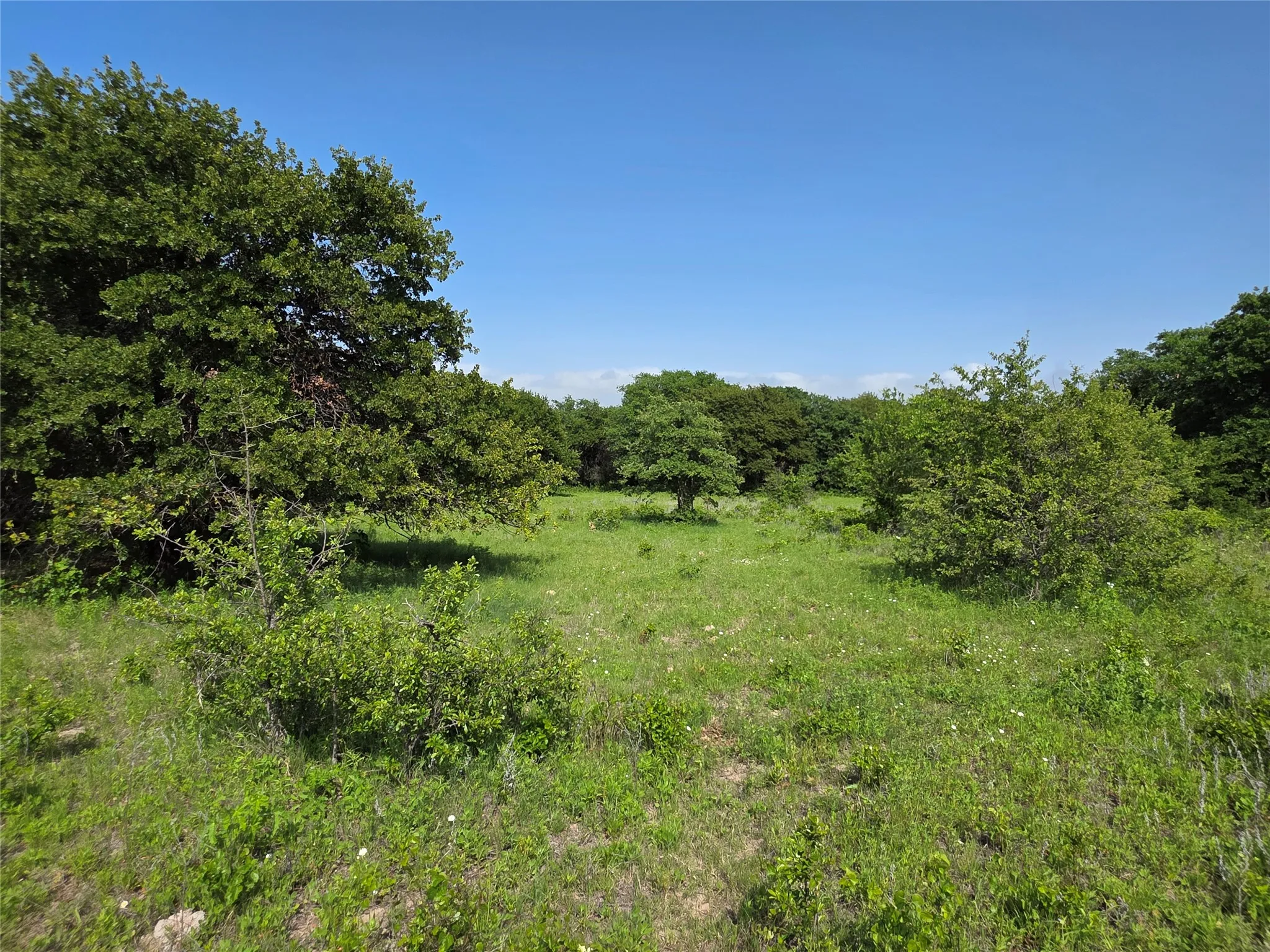 Ranch For Sale in Comanche County , 375 Ea Road, Comanche, Texas 76442, 0, 0, Garage spaces, 0 Sqft, built in 0, mls#21266355, Real Estate Agent in Comanche, Homes For Sale in Comanche county, Homes For Sale in Comanche, Realtor in Comanche Texas, Real Estate Brokerage Independent Realty Texas, Luminita Cordes Realtor