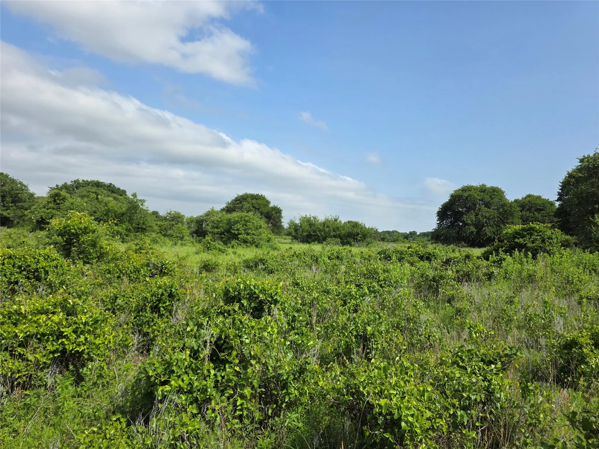 Ranch For Sale in Comanche County , 375 Ea Road, Comanche, Texas 76442, 0, 0, Garage spaces, 0 Sqft, built in 0, mls#21266355, Real Estate Agent in Comanche, Homes For Sale in Comanche county, Homes For Sale in Comanche, Realtor in Comanche Texas, Real Estate Brokerage Independent Realty Texas, Luminita Cordes Realtor