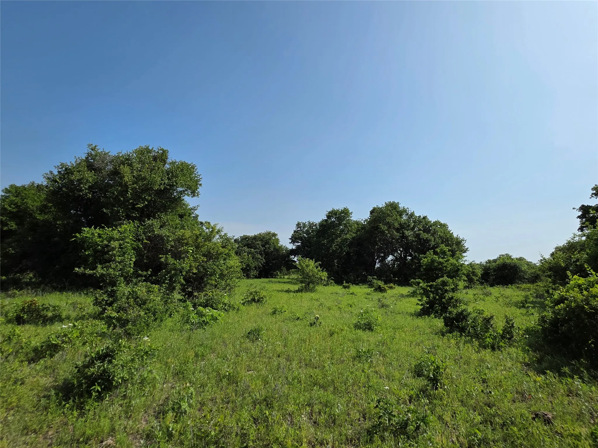 Ranch For Sale in Comanche County , 375 Ea Road, Comanche, Texas 76442, 0, 0, Garage spaces, 0 Sqft, built in 0, mls#21266355, Real Estate Agent in Comanche, Homes For Sale in Comanche county, Homes For Sale in Comanche, Realtor in Comanche Texas, Real Estate Brokerage Independent Realty Texas, Luminita Cordes Realtor