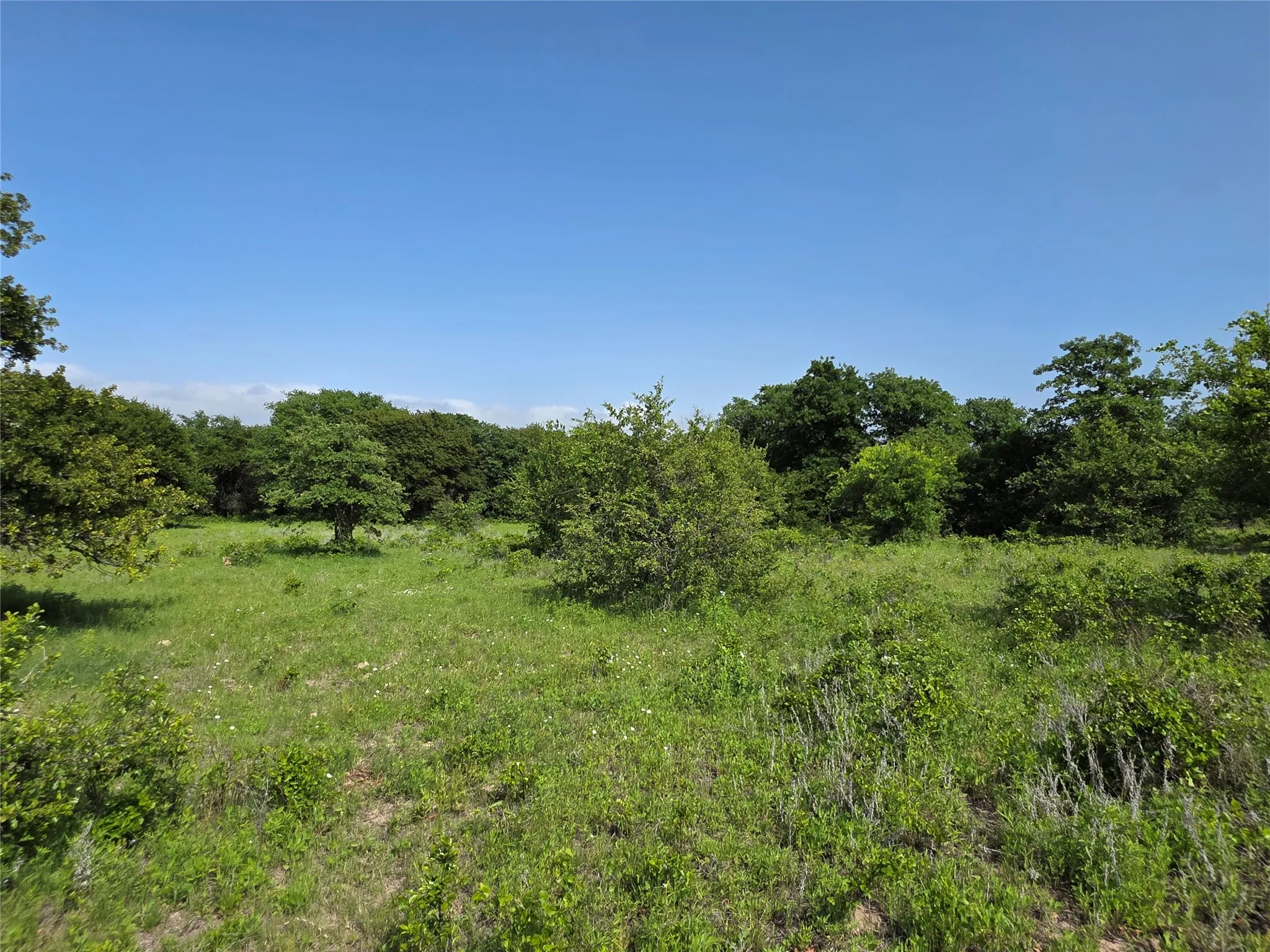 Ranch For Sale in Comanche County , 375 Ea Road, Comanche, Texas 76442, 0, 0, Garage spaces, 0 Sqft, built in 0, mls#21266355, Real Estate Agent in Comanche, Homes For Sale in Comanche county, Homes For Sale in Comanche, Realtor in Comanche Texas, Real Estate Brokerage Independent Realty Texas, Luminita Cordes Realtor
