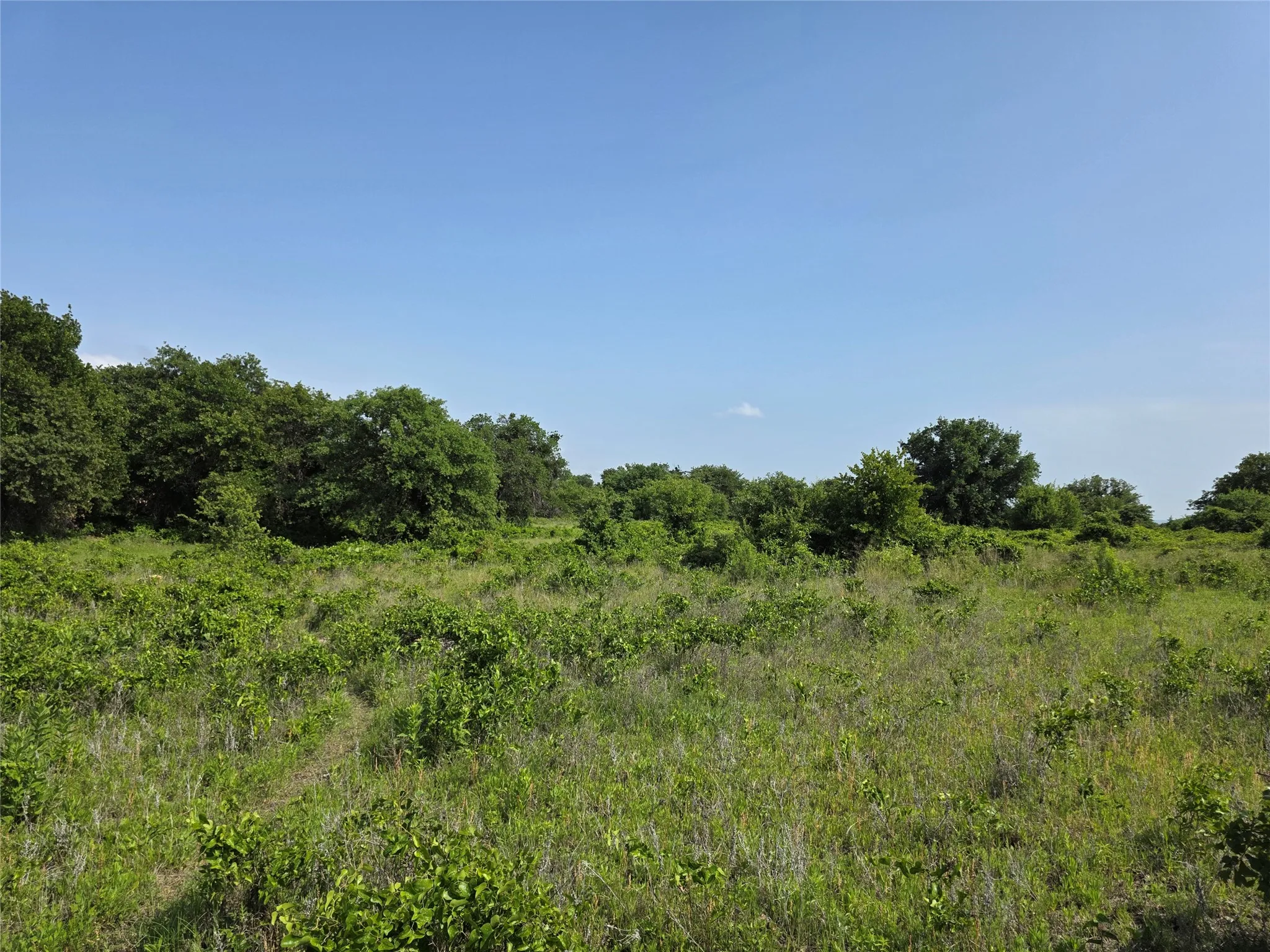 Ranch For Sale in Comanche County , 375 Ea Road, Comanche, Texas 76442, 0, 0, Garage spaces, 0 Sqft, built in 0, mls#21266355, Real Estate Agent in Comanche, Homes For Sale in Comanche county, Homes For Sale in Comanche, Realtor in Comanche Texas, Real Estate Brokerage Independent Realty Texas, Luminita Cordes Realtor