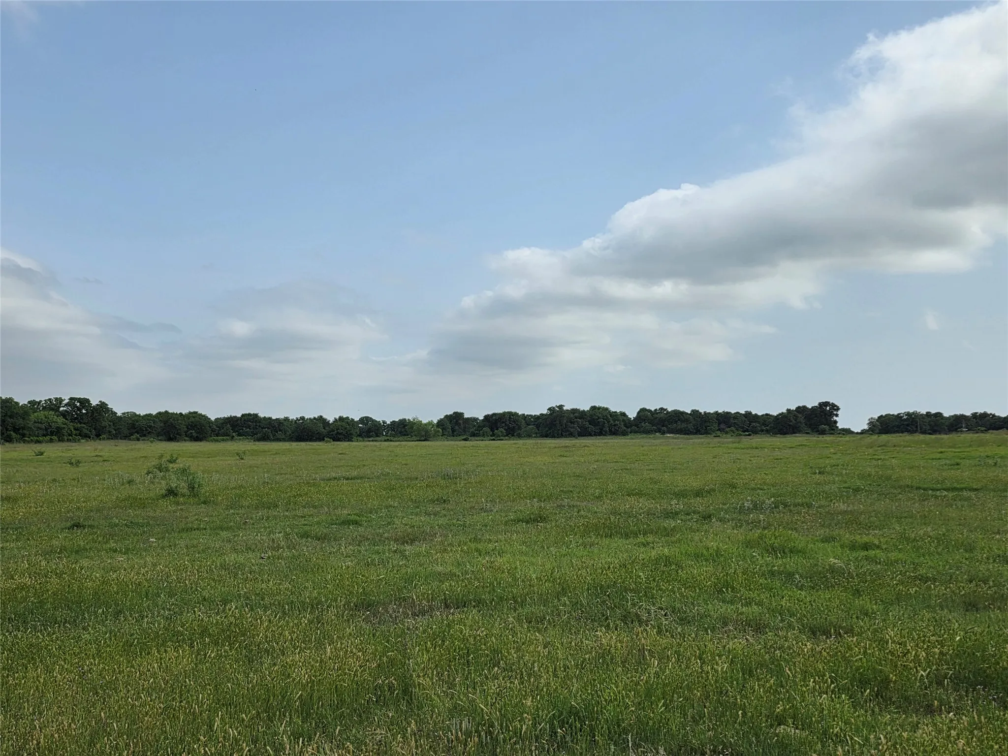 Ranch For Sale in Comanche County , 375 Ea Road, Comanche, Texas 76442, 0, 0, Garage spaces, 0 Sqft, built in 0, mls#21266355, Real Estate Agent in Comanche, Homes For Sale in Comanche county, Homes For Sale in Comanche, Realtor in Comanche Texas, Real Estate Brokerage Independent Realty Texas, Luminita Cordes Realtor