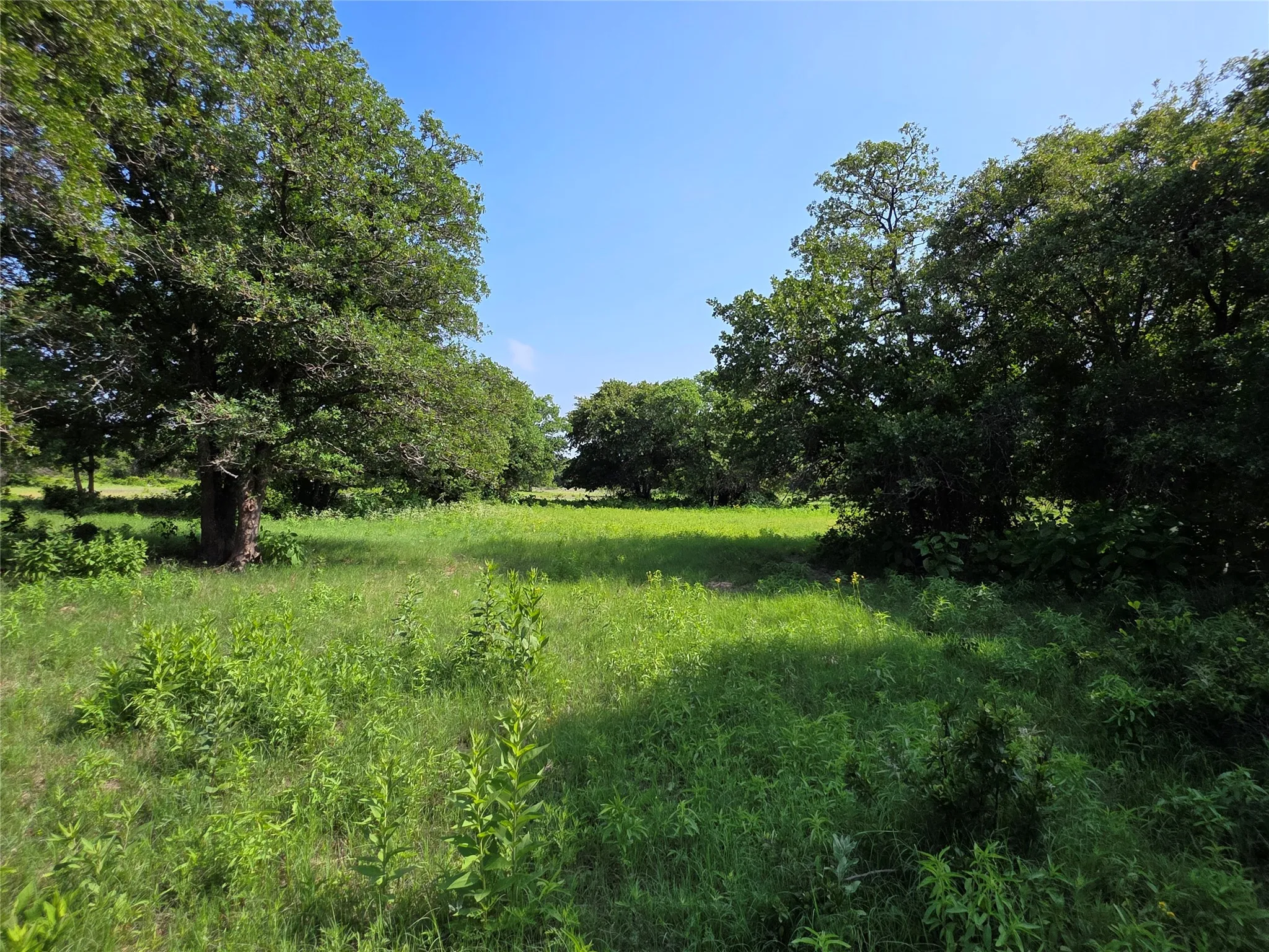 Ranch For Sale in Comanche County , 375 Ea Road, Comanche, Texas 76442, 0, 0, Garage spaces, 0 Sqft, built in 0, mls#21266355, Real Estate Agent in Comanche, Homes For Sale in Comanche county, Homes For Sale in Comanche, Realtor in Comanche Texas, Real Estate Brokerage Independent Realty Texas, Luminita Cordes Realtor