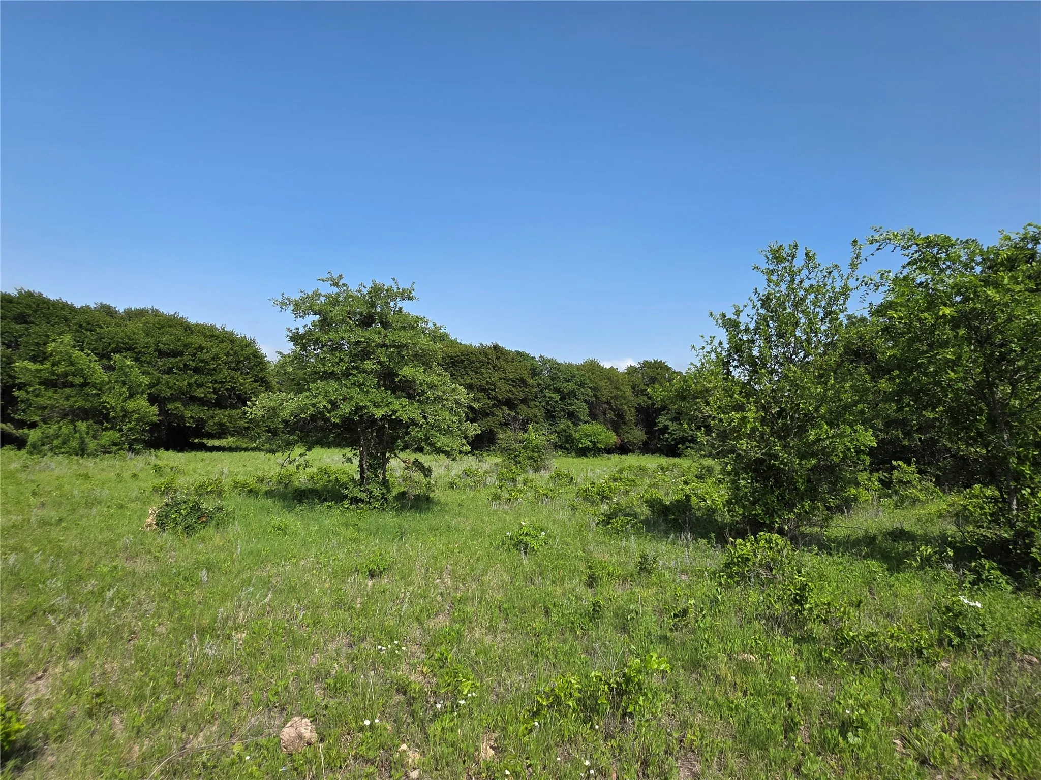 Ranch For Sale in Comanche County , 375 Ea Road, Comanche, Texas 76442, 0, 0, Garage spaces, 0 Sqft, built in 0, mls#21266355, Real Estate Agent in Comanche, Homes For Sale in Comanche county, Homes For Sale in Comanche, Realtor in Comanche Texas, Real Estate Brokerage Independent Realty Texas, Luminita Cordes Realtor