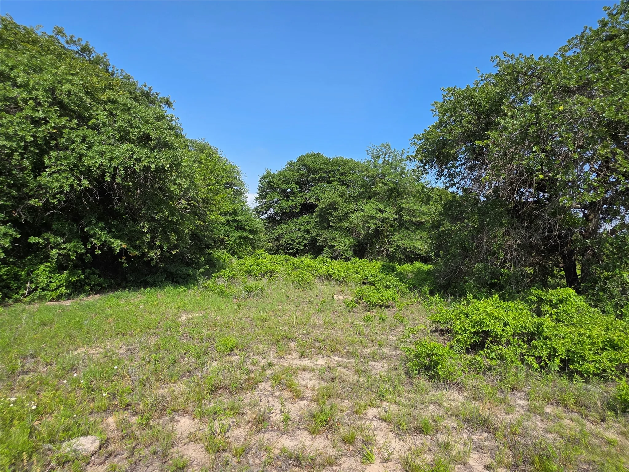 Ranch For Sale in Comanche County , 375 Ea Road, Comanche, Texas 76442, 0, 0, Garage spaces, 0 Sqft, built in 0, mls#21266355, Real Estate Agent in Comanche, Homes For Sale in Comanche county, Homes For Sale in Comanche, Realtor in Comanche Texas, Real Estate Brokerage Independent Realty Texas, Luminita Cordes Realtor
