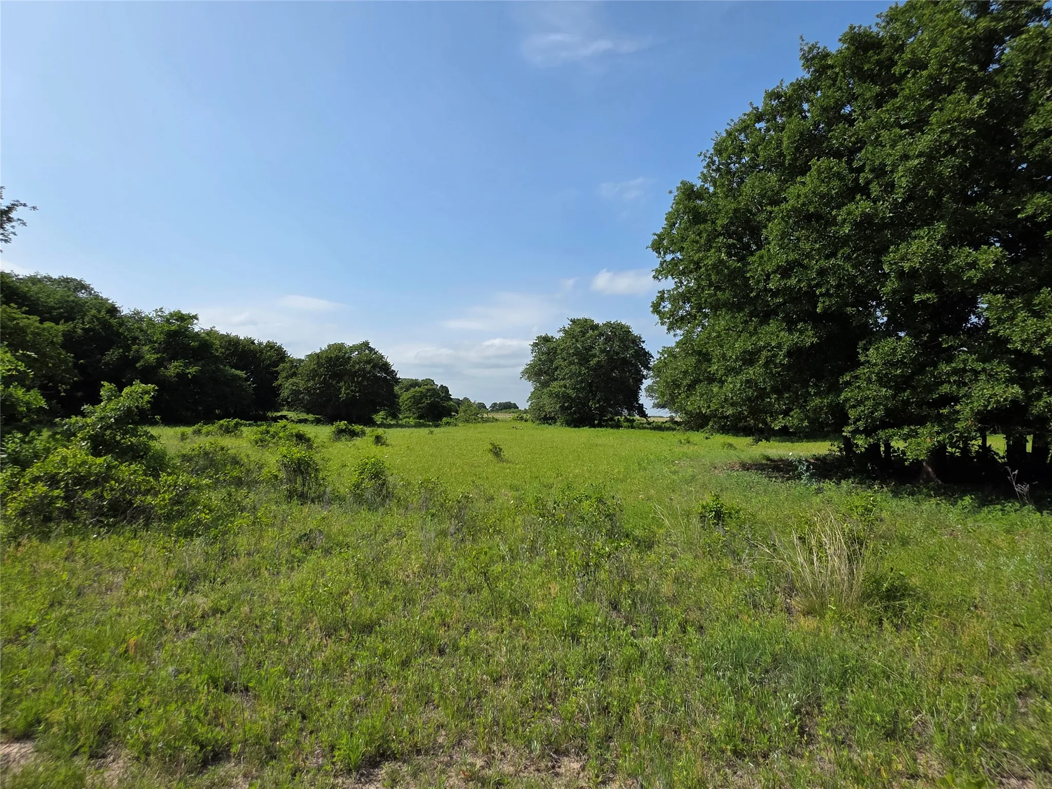 Ranch For Sale in Comanche County , 375 Ea Road, Comanche, Texas 76442, 0, 0, Garage spaces, 0 Sqft, built in 0, mls#21266355, Real Estate Agent in Comanche, Homes For Sale in Comanche county, Homes For Sale in Comanche, Realtor in Comanche Texas, Real Estate Brokerage Independent Realty Texas, Luminita Cordes Realtor