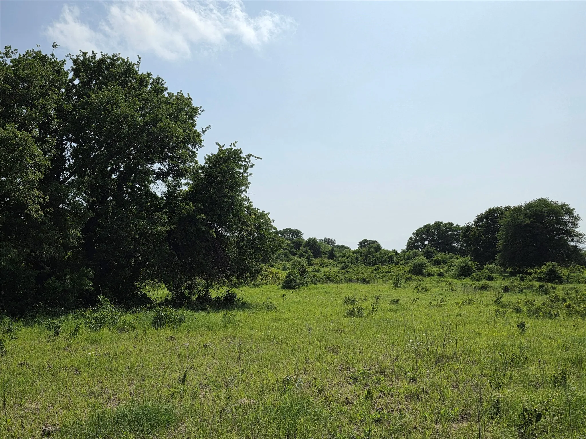 Ranch For Sale in Comanche County , 375 Ea Road, Comanche, Texas 76442, 0, 0, Garage spaces, 0 Sqft, built in 0, mls#21266355, Real Estate Agent in Comanche, Homes For Sale in Comanche county, Homes For Sale in Comanche, Realtor in Comanche Texas, Real Estate Brokerage Independent Realty Texas, Luminita Cordes Realtor