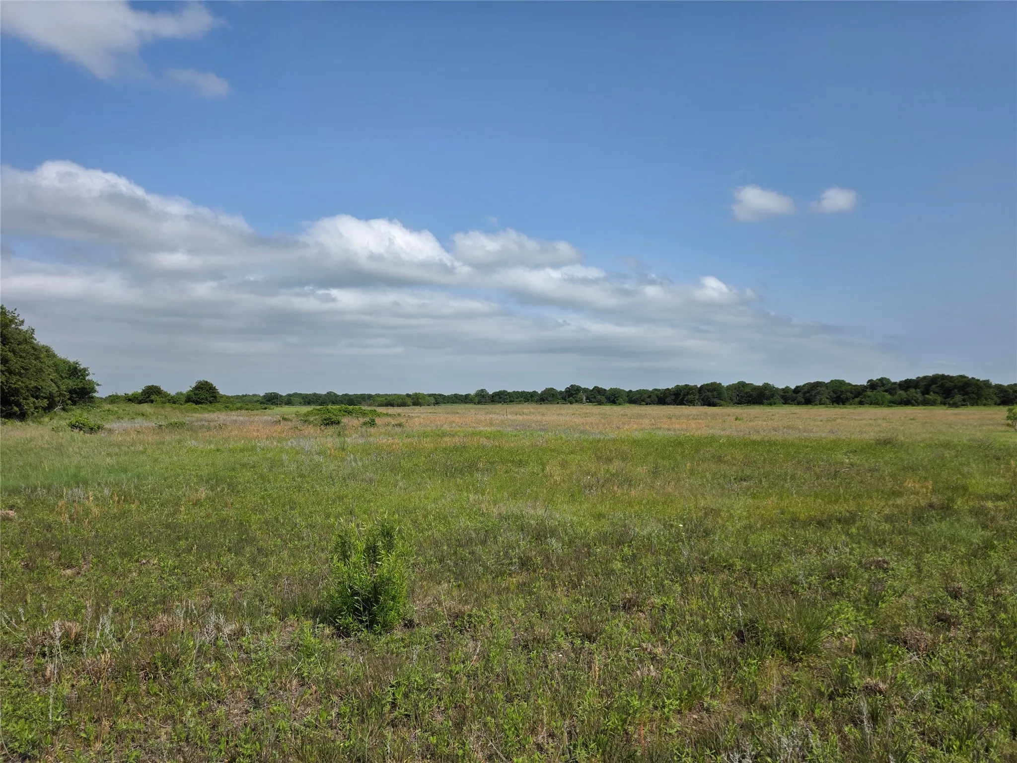 Ranch For Sale in Comanche County , 375 Ea Road, Comanche, Texas 76442, 0, 0, Garage spaces, 0 Sqft, built in 0, mls#21266355, Real Estate Agent in Comanche, Homes For Sale in Comanche county, Homes For Sale in Comanche, Realtor in Comanche Texas, Real Estate Brokerage Independent Realty Texas, Luminita Cordes Realtor