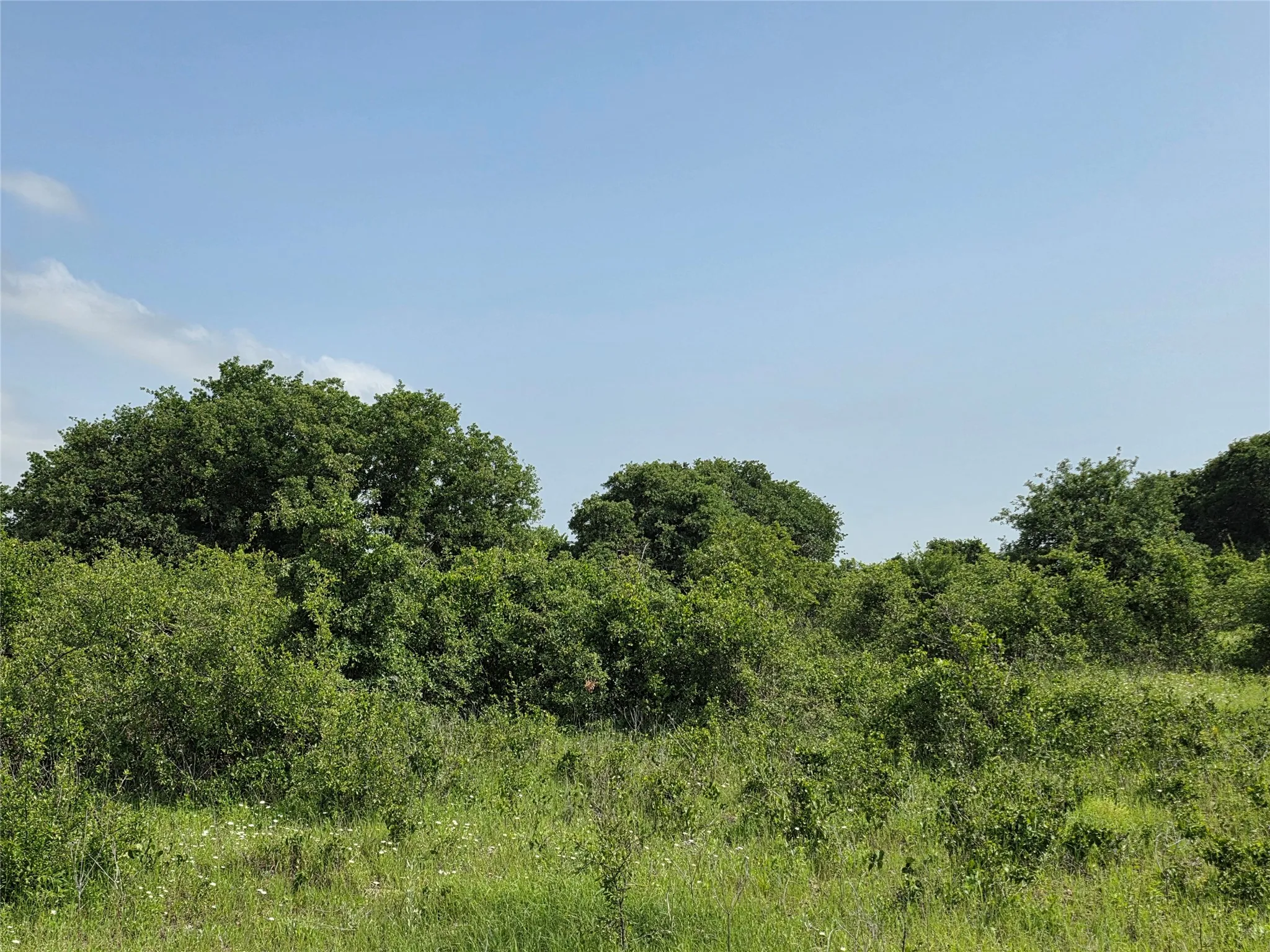 Ranch For Sale in Comanche County , 375 Ea Road, Comanche, Texas 76442, 0, 0, Garage spaces, 0 Sqft, built in 0, mls#21266355, Real Estate Agent in Comanche, Homes For Sale in Comanche county, Homes For Sale in Comanche, Realtor in Comanche Texas, Real Estate Brokerage Independent Realty Texas, Luminita Cordes Realtor