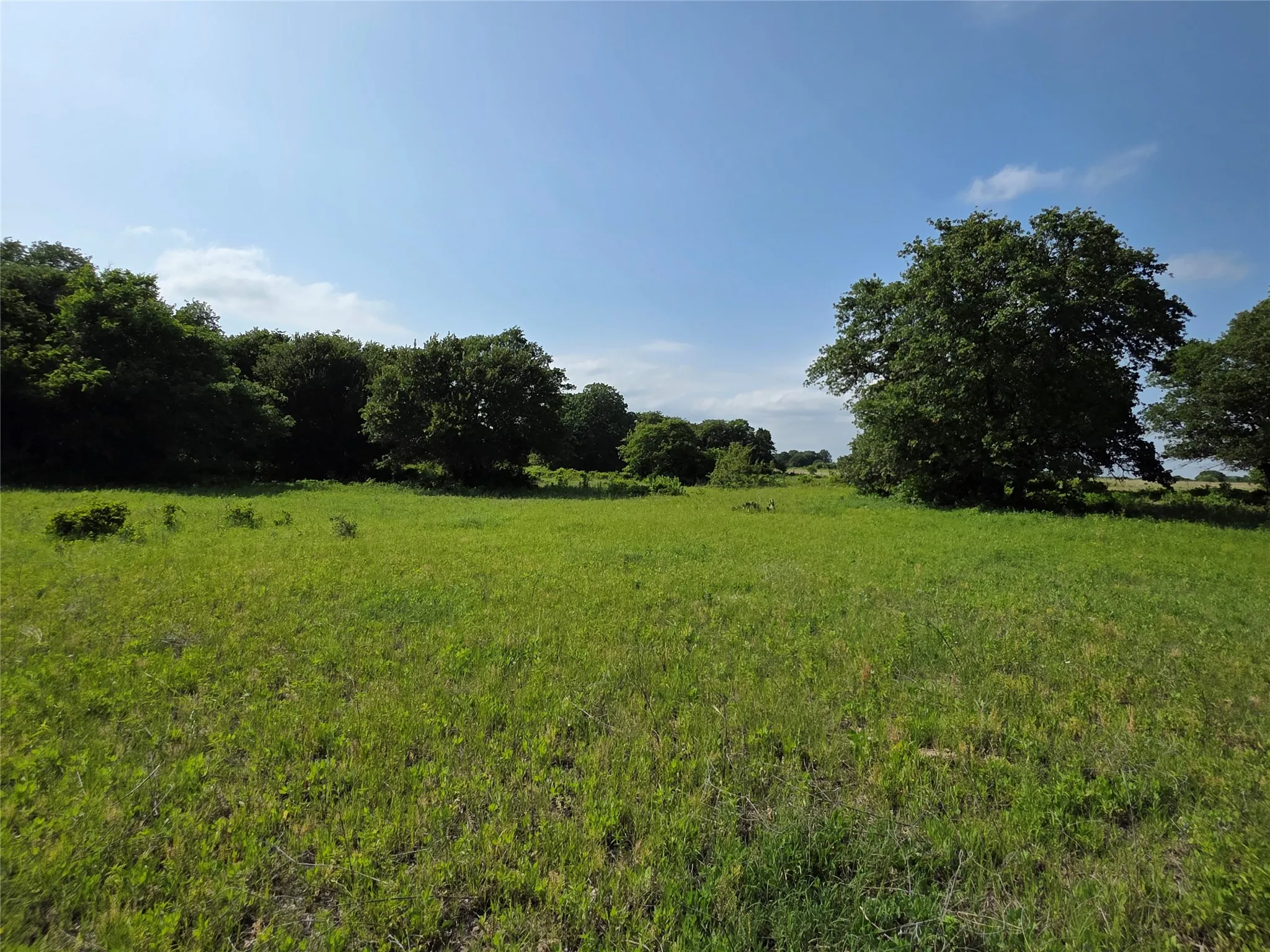 Ranch For Sale in Comanche County , 375 Ea Road, Comanche, Texas 76442, 0, 0, Garage spaces, 0 Sqft, built in 0, mls#21266355, Real Estate Agent in Comanche, Homes For Sale in Comanche county, Homes For Sale in Comanche, Realtor in Comanche Texas, Real Estate Brokerage Independent Realty Texas, Luminita Cordes Realtor