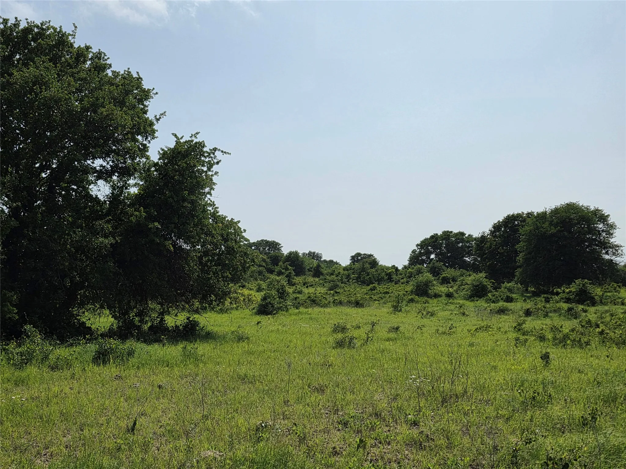 Ranch For Sale in Comanche County , 375 Ea Road, Comanche, Texas 76442, 0, 0, Garage spaces, 0 Sqft, built in 0, mls#21266355, Real Estate Agent in Comanche, Homes For Sale in Comanche county, Homes For Sale in Comanche, Realtor in Comanche Texas, Real Estate Brokerage Independent Realty Texas, Luminita Cordes Realtor