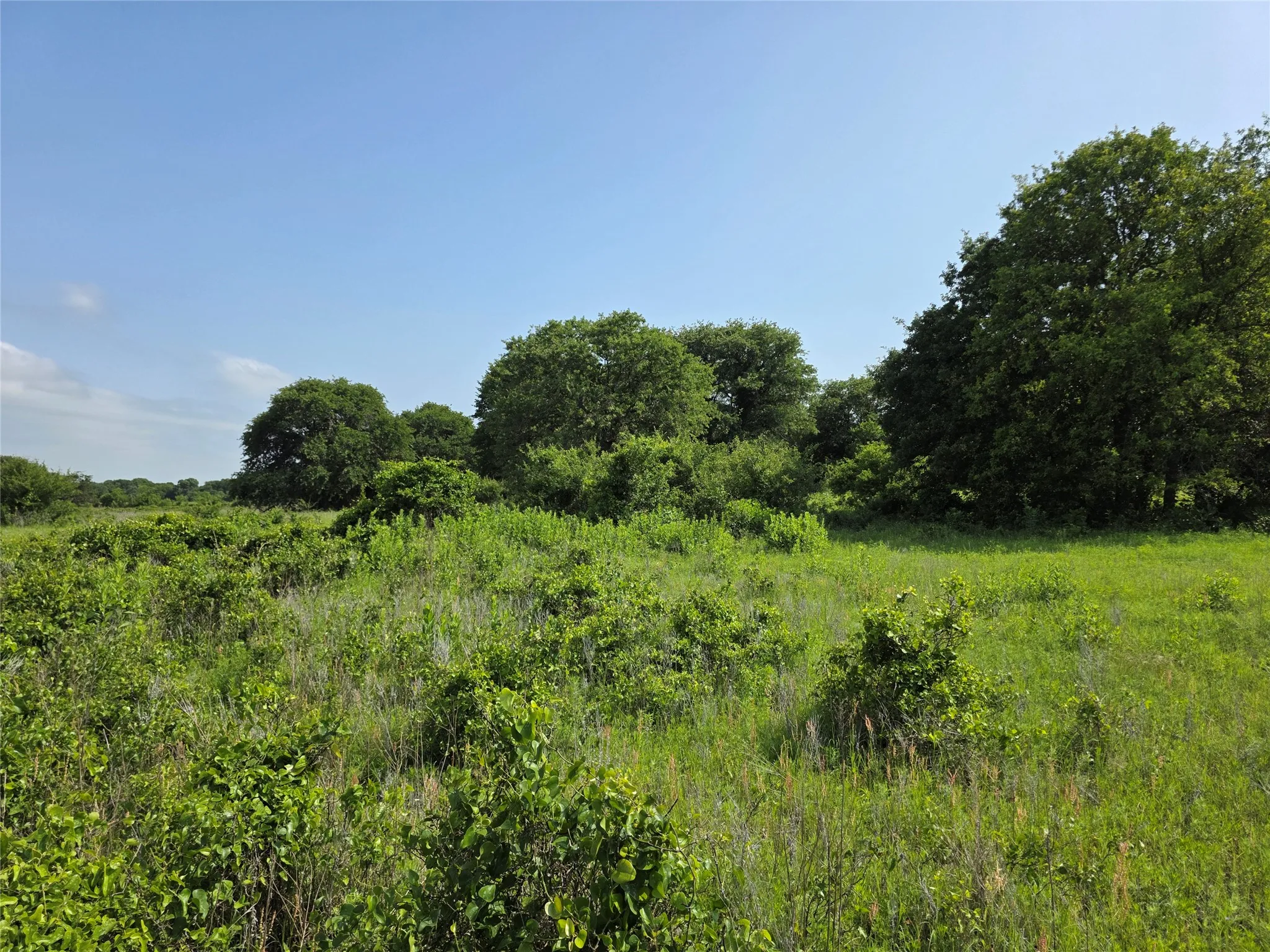 Ranch For Sale in Comanche County , 375 Ea Road, Comanche, Texas 76442, 0, 0, Garage spaces, 0 Sqft, built in 0, mls#21266355, Real Estate Agent in Comanche, Homes For Sale in Comanche county, Homes For Sale in Comanche, Realtor in Comanche Texas, Real Estate Brokerage Independent Realty Texas, Luminita Cordes Realtor