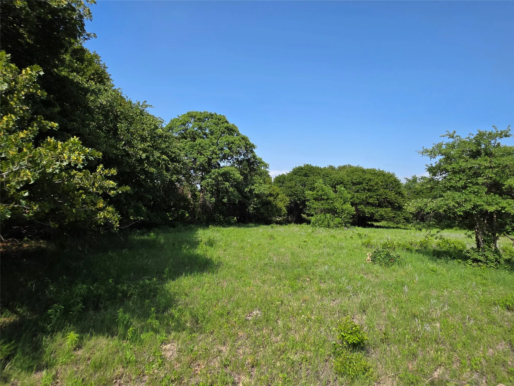 Ranch For Sale in Comanche County , 375 Ea Road, Comanche, Texas 76442, 0, 0, Garage spaces, 0 Sqft, built in 0, mls#21266355, Real Estate Agent in Comanche, Homes For Sale in Comanche county, Homes For Sale in Comanche, Realtor in Comanche Texas, Real Estate Brokerage Independent Realty Texas, Luminita Cordes Realtor