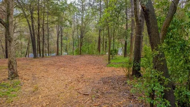 Unimproved Land For Sale in Smith County , 161 Fairway Drive E, Hideaway, Texas 75771, 0, 0, Garage spaces, 0 Sqft, built in 0, Price $45,000, mls#21266500, Real Estate Agent in Hideaway, Homes For Sale in Smith county, Homes For Sale in Hideaway, Realtor in Hideaway Texas, Real Estate Brokerage Independent Realty Texas, Luminita Cordes Realtor
