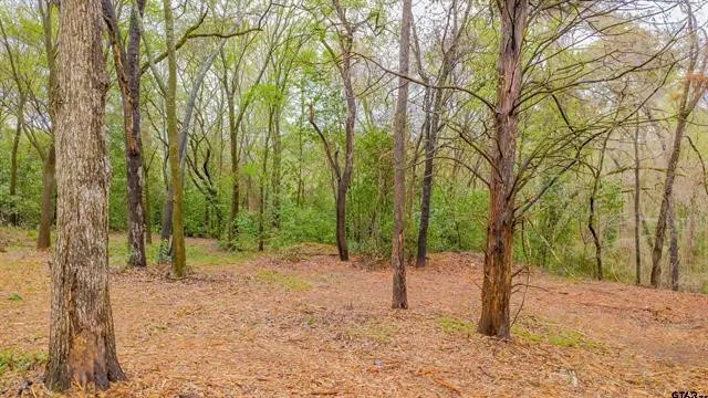 Unimproved Land For Sale in Smith County , 161 Fairway Drive E, Hideaway, Texas 75771, 0, 0, Garage spaces, 0 Sqft, built in 0, Price $45,000, mls#21266500, Real Estate Agent in Hideaway, Homes For Sale in Smith county, Homes For Sale in Hideaway, Realtor in Hideaway Texas, Real Estate Brokerage Independent Realty Texas, Luminita Cordes Realtor