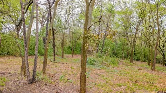 Unimproved Land For Sale in Smith County , 161 Fairway Drive E, Hideaway, Texas 75771, 0, 0, Garage spaces, 0 Sqft, built in 0, Price $45,000, mls#21266500, Real Estate Agent in Hideaway, Homes For Sale in Smith county, Homes For Sale in Hideaway, Realtor in Hideaway Texas, Real Estate Brokerage Independent Realty Texas, Luminita Cordes Realtor