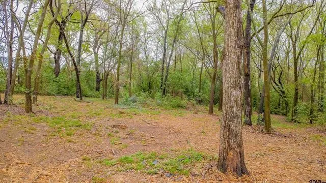 Unimproved Land For Sale in Smith County , 161 Fairway Drive E, Hideaway, Texas 75771, 0, 0, Garage spaces, 0 Sqft, built in 0, Price $45,000, mls#21266500, Real Estate Agent in Hideaway, Homes For Sale in Smith county, Homes For Sale in Hideaway, Realtor in Hideaway Texas, Real Estate Brokerage Independent Realty Texas, Luminita Cordes Realtor