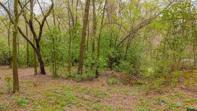 Unimproved Land For Sale in Smith County , 161 Fairway Drive E, Hideaway, Texas 75771, 0, 0, Garage spaces, 0 Sqft, built in 0, Price $45,000, mls#21266500, Real Estate Agent in Hideaway, Homes For Sale in Smith county, Homes For Sale in Hideaway, Realtor in Hideaway Texas, Real Estate Brokerage Independent Realty Texas, Luminita Cordes Realtor