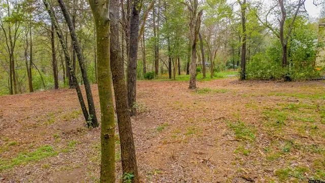 Unimproved Land For Sale in Smith County , 161 Fairway Drive E, Hideaway, Texas 75771, 0, 0, Garage spaces, 0 Sqft, built in 0, Price $45,000, mls#21266500, Real Estate Agent in Hideaway, Homes For Sale in Smith county, Homes For Sale in Hideaway, Realtor in Hideaway Texas, Real Estate Brokerage Independent Realty Texas, Luminita Cordes Realtor
