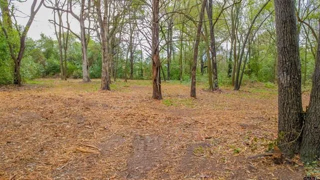 Unimproved Land For Sale in Smith County , 161 Fairway Drive E, Hideaway, Texas 75771, 0, 0, Garage spaces, 0 Sqft, built in 0, Price $45,000, mls#21266500, Real Estate Agent in Hideaway, Homes For Sale in Smith county, Homes For Sale in Hideaway, Realtor in Hideaway Texas, Real Estate Brokerage Independent Realty Texas, Luminita Cordes Realtor