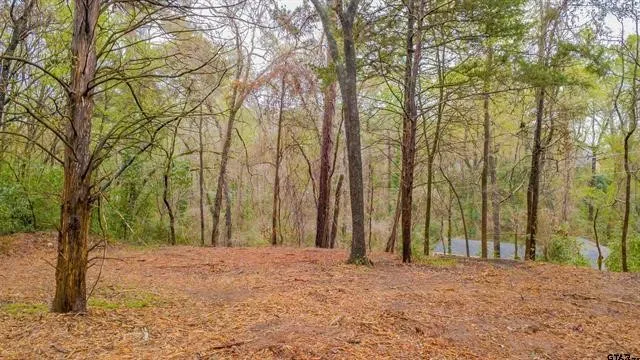 Unimproved Land For Sale in Smith County , 161 Fairway Drive E, Hideaway, Texas 75771, 0, 0, Garage spaces, 0 Sqft, built in 0, Price $45,000, mls#21266500, Real Estate Agent in Hideaway, Homes For Sale in Smith county, Homes For Sale in Hideaway, Realtor in Hideaway Texas, Real Estate Brokerage Independent Realty Texas, Luminita Cordes Realtor
