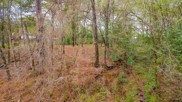 Unimproved Land For Sale in Smith County , 161 Fairway Drive E, Hideaway, Texas 75771, 0, 0, Garage spaces, 0 Sqft, built in 0, Price $45,000, mls#21266500, Real Estate Agent in Hideaway, Homes For Sale in Smith county, Homes For Sale in Hideaway, Realtor in Hideaway Texas, Real Estate Brokerage Independent Realty Texas, Luminita Cordes Realtor
