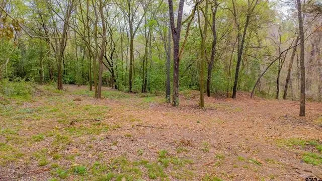 Unimproved Land For Sale in Smith County , 161 Fairway Drive E, Hideaway, Texas 75771, 0, 0, Garage spaces, 0 Sqft, built in 0, Price $45,000, mls#21266500, Real Estate Agent in Hideaway, Homes For Sale in Smith county, Homes For Sale in Hideaway, Realtor in Hideaway Texas, Real Estate Brokerage Independent Realty Texas, Luminita Cordes Realtor