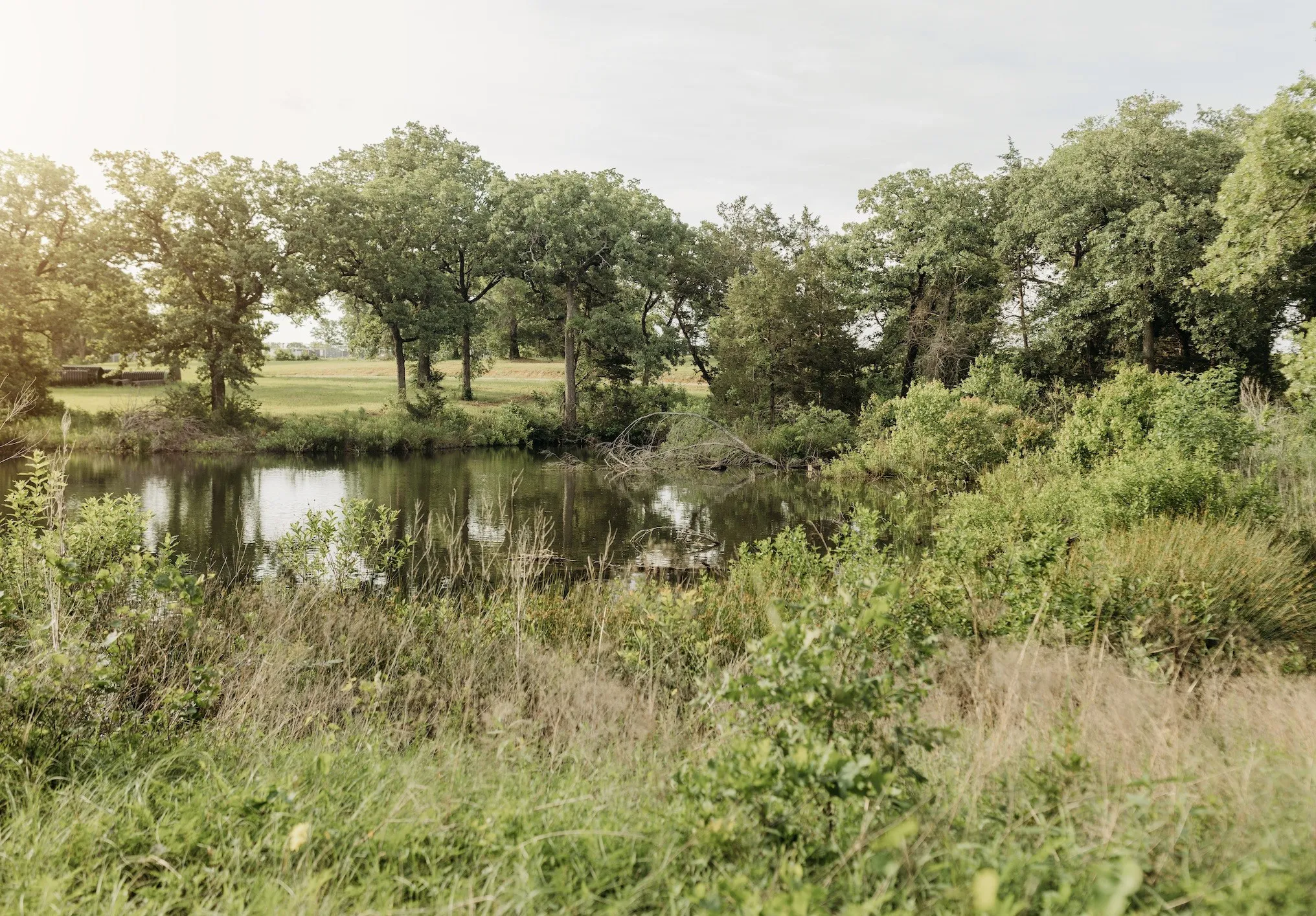 Unimproved Land For Sale in Grayson County , 137 Yucatan Village Court, Gordonville, Texas 76245, 0, 0, Garage spaces, 0 Sqft, built in 0, Price $55,000, mls#21266451, Real Estate Agent in Gordonville, Homes For Sale in Grayson county, Homes For Sale in Gordonville, Realtor in Gordonville Texas, Real Estate Brokerage Independent Realty Texas, Luminita Cordes Realtor