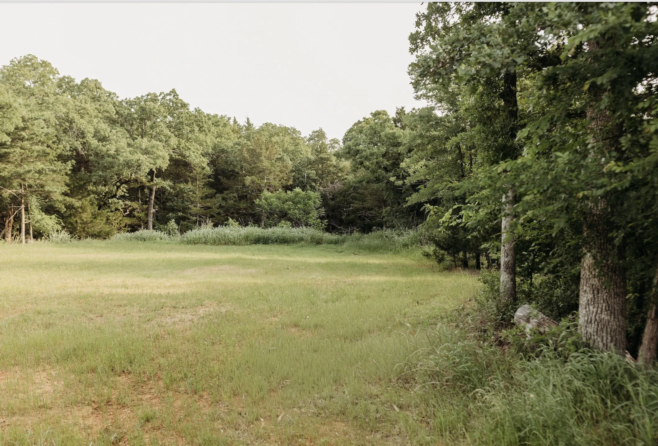 Unimproved Land For Sale in Grayson County , 137 Yucatan Village Court, Gordonville, Texas 76245, 0, 0, Garage spaces, 0 Sqft, built in 0, Price $55,000, mls#21266451, Real Estate Agent in Gordonville, Homes For Sale in Grayson county, Homes For Sale in Gordonville, Realtor in Gordonville Texas, Real Estate Brokerage Independent Realty Texas, Luminita Cordes Realtor