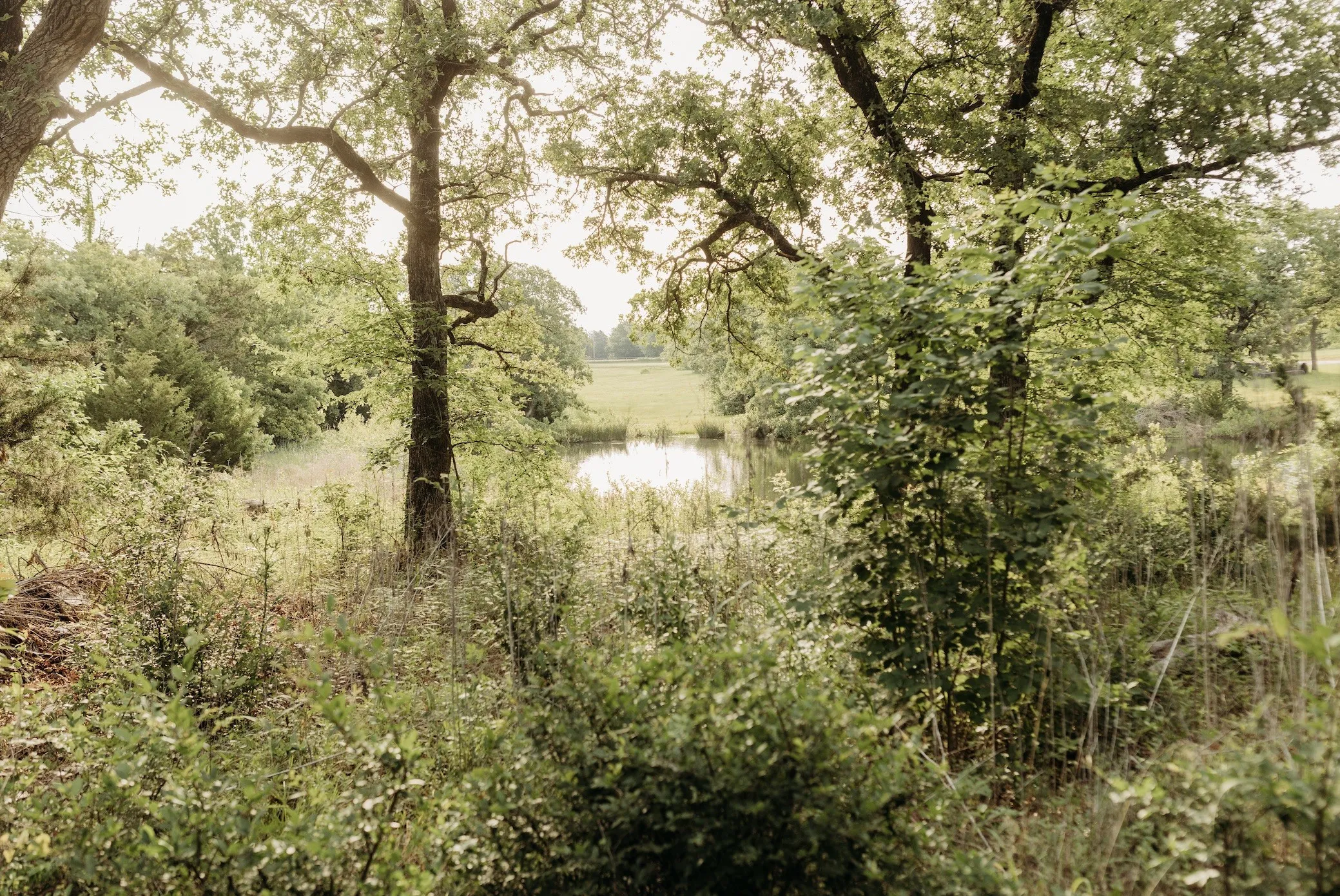 Unimproved Land For Sale in Grayson County , 137 Yucatan Village Court, Gordonville, Texas 76245, 0, 0, Garage spaces, 0 Sqft, built in 0, Price $55,000, mls#21266451, Real Estate Agent in Gordonville, Homes For Sale in Grayson county, Homes For Sale in Gordonville, Realtor in Gordonville Texas, Real Estate Brokerage Independent Realty Texas, Luminita Cordes Realtor