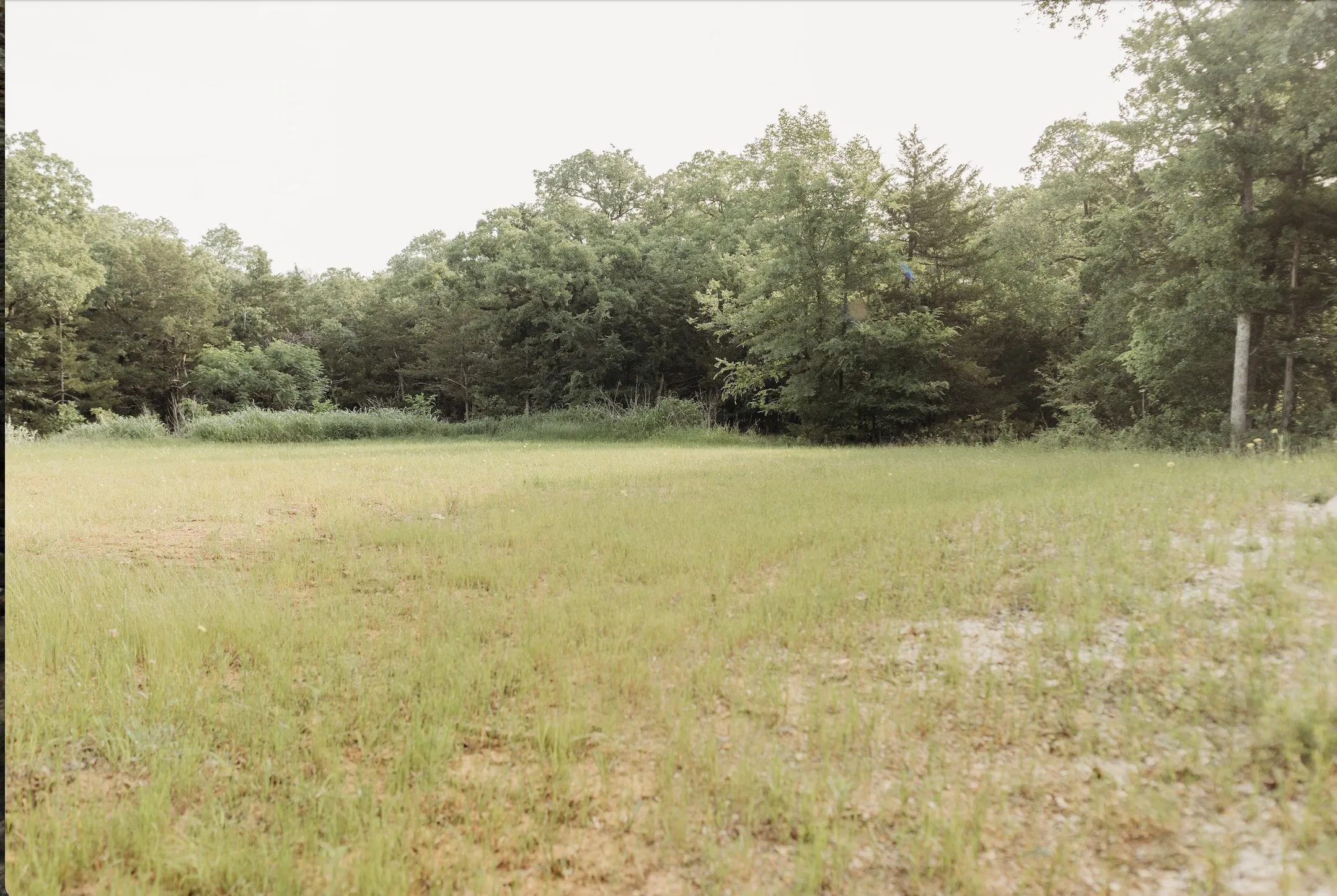 Unimproved Land For Sale in Grayson County , 137 Yucatan Village Court, Gordonville, Texas 76245, 0, 0, Garage spaces, 0 Sqft, built in 0, Price $55,000, mls#21266451, Real Estate Agent in Gordonville, Homes For Sale in Grayson county, Homes For Sale in Gordonville, Realtor in Gordonville Texas, Real Estate Brokerage Independent Realty Texas, Luminita Cordes Realtor